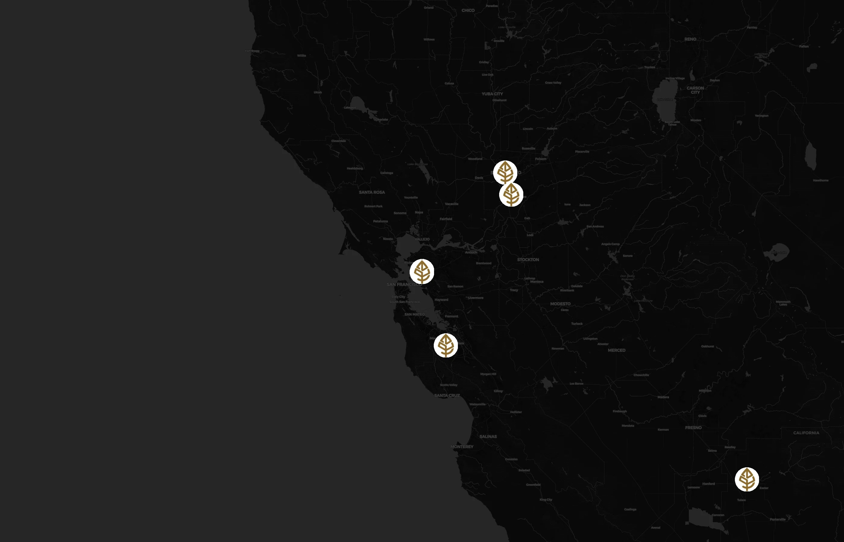 RareTea city distribution