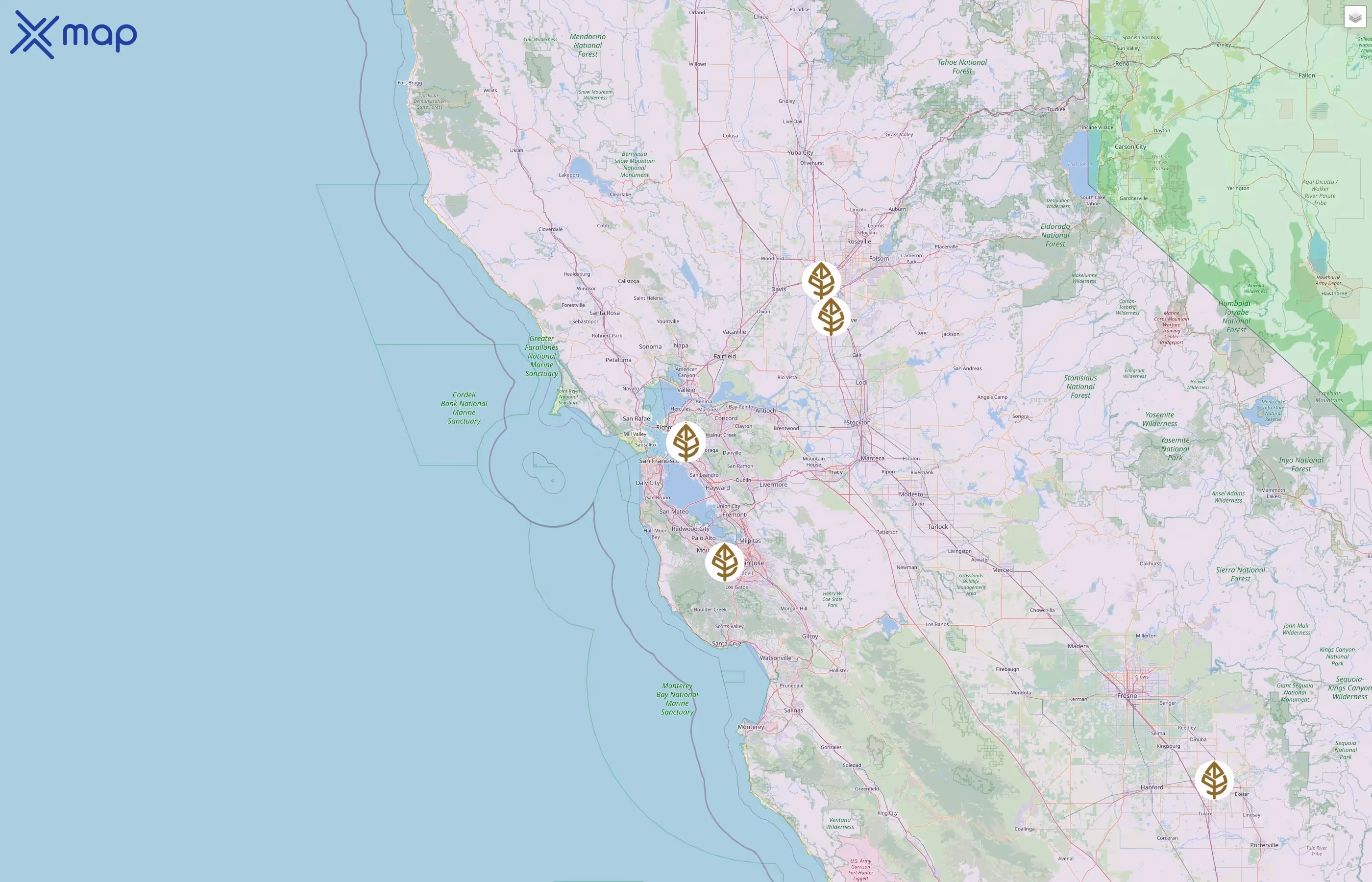 RareTea street hotspots