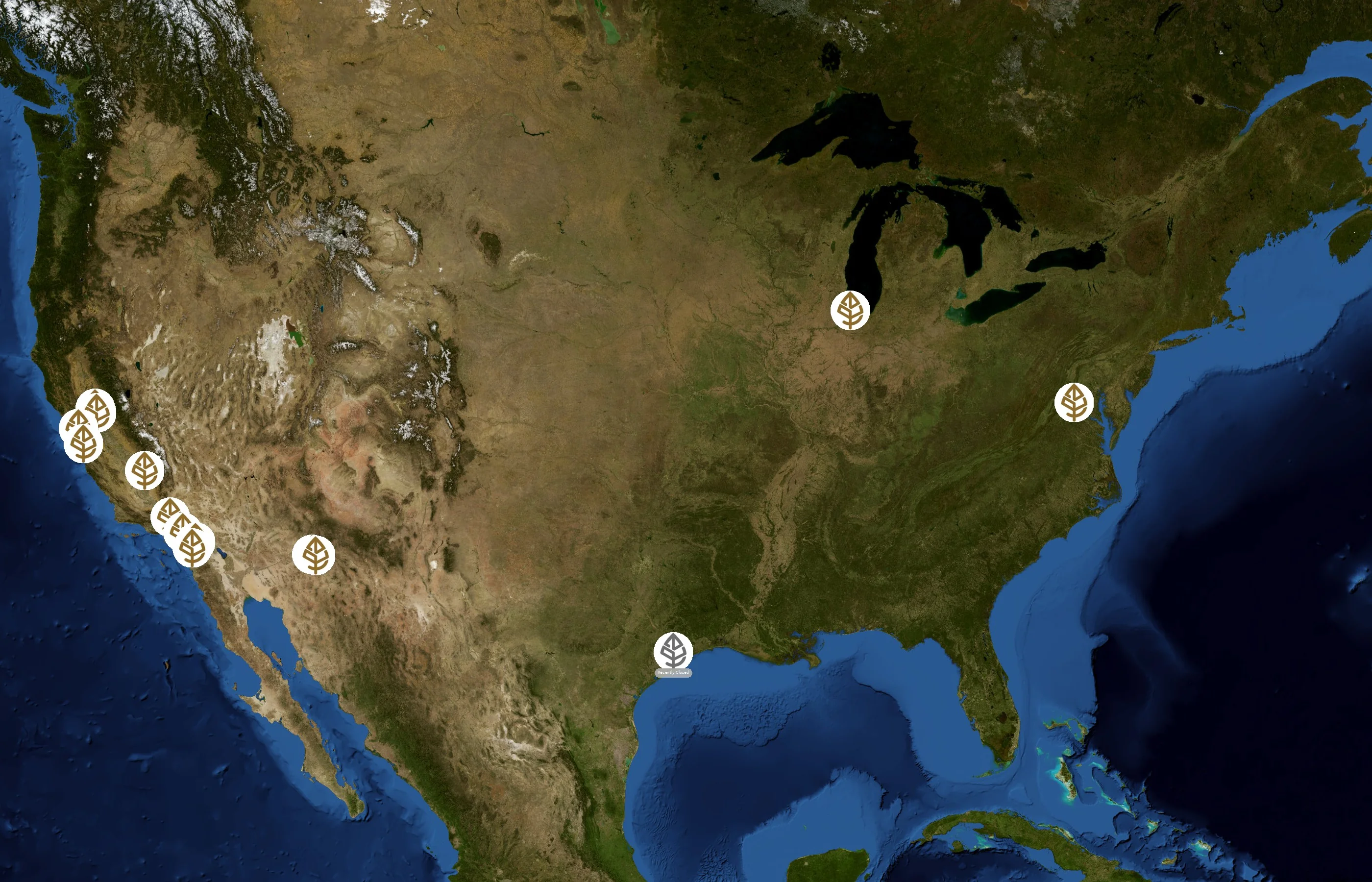 RareTea state distribution