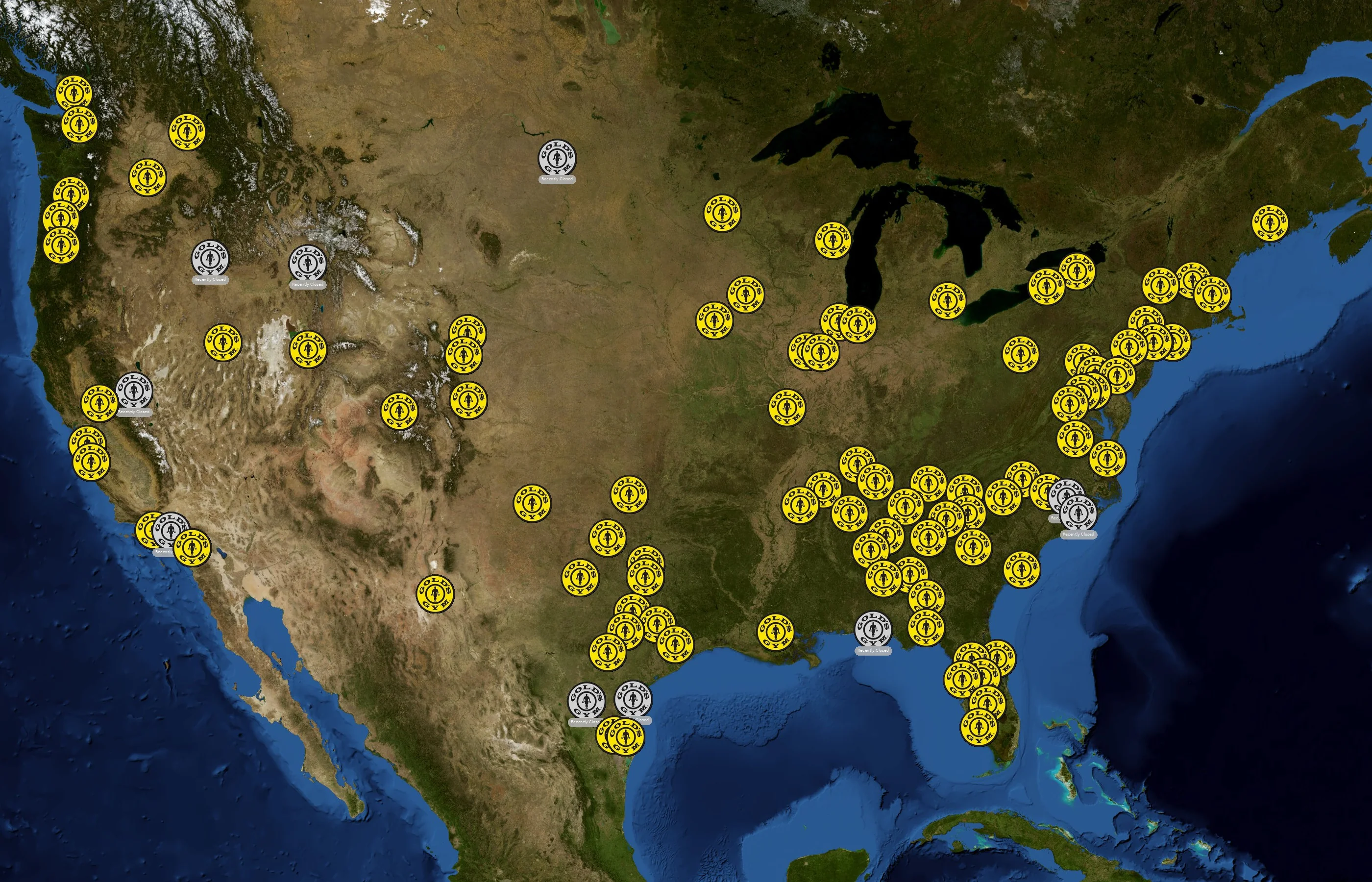 Gold's Gym state distribution