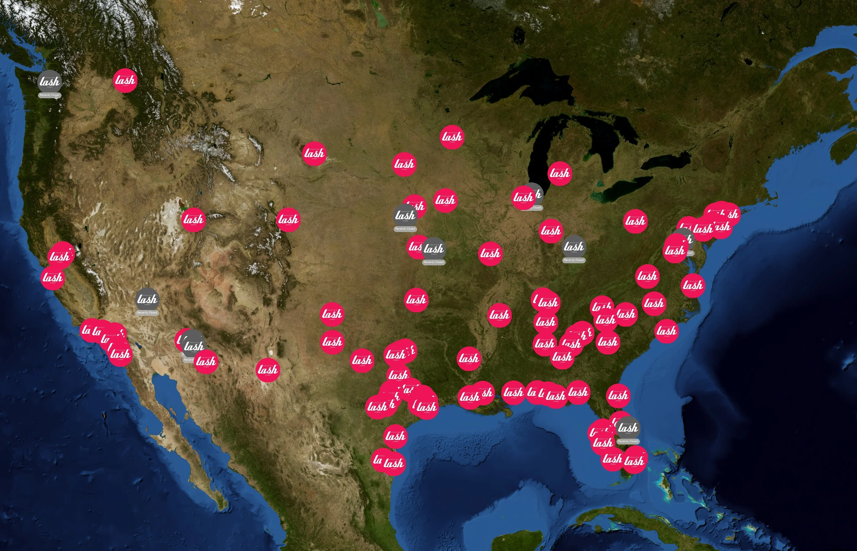 Amazing Lash Studio state distribution