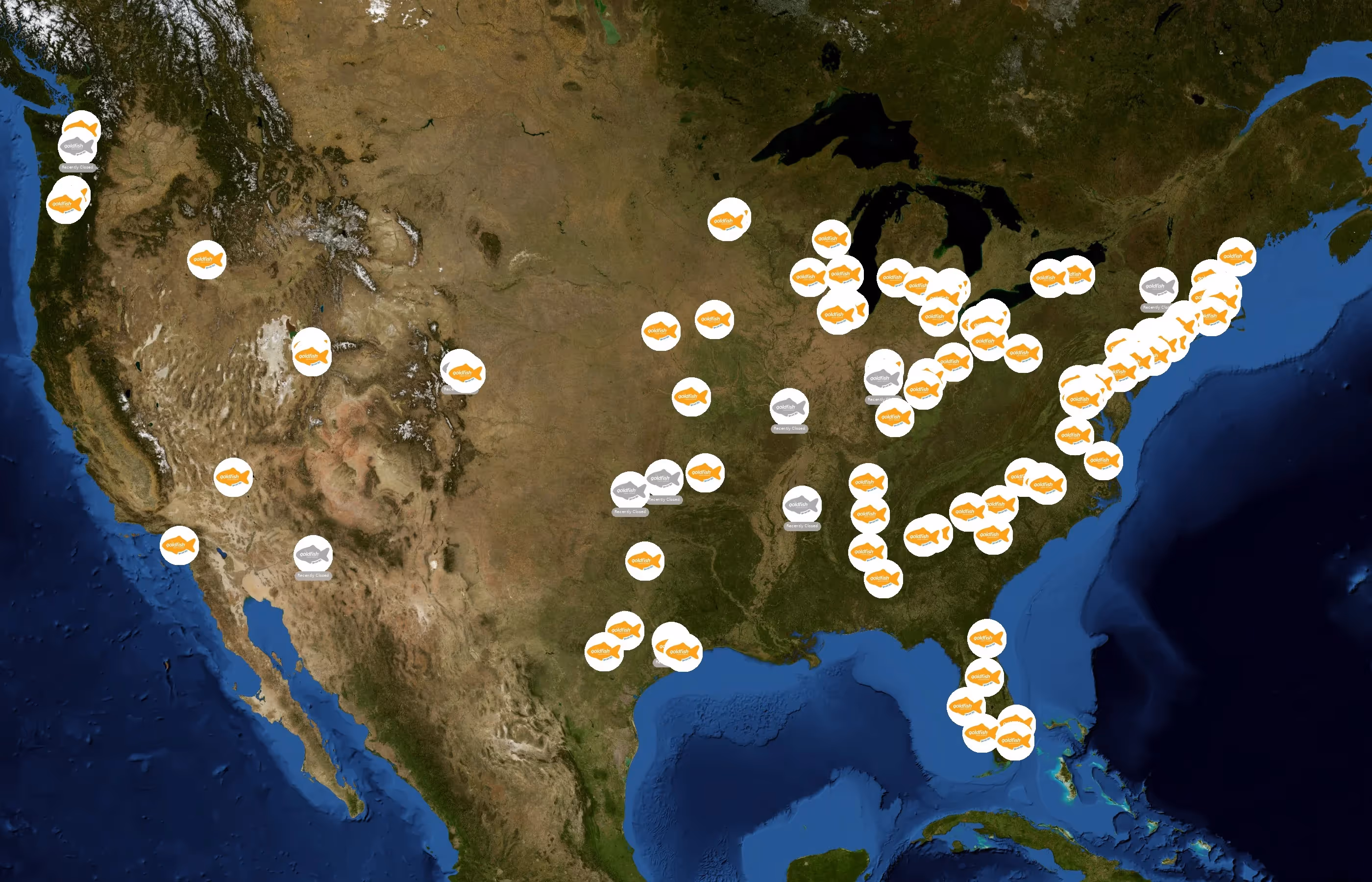 Goldfish Swim School state distribution