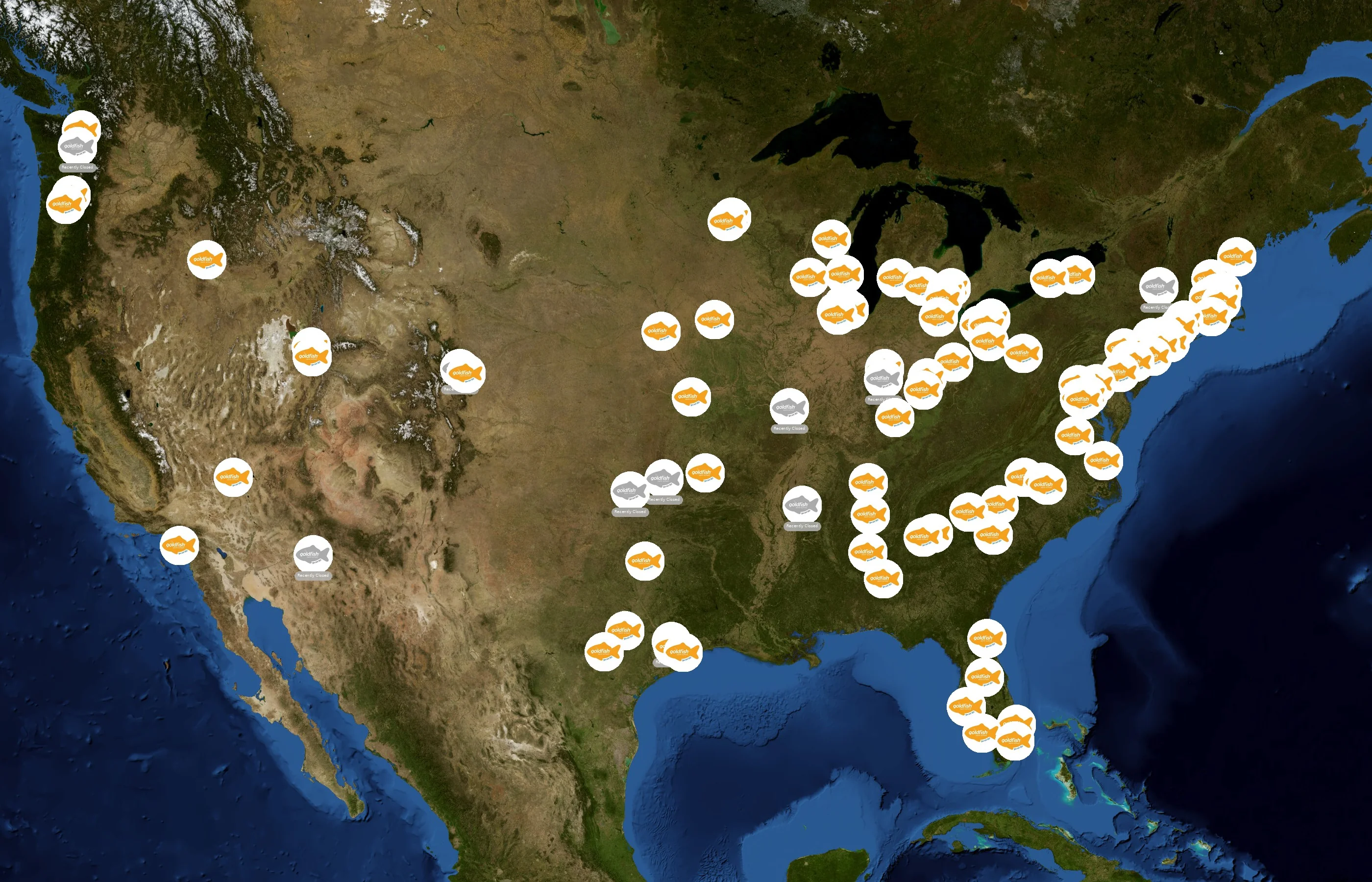 Goldfish Swim School state distribution