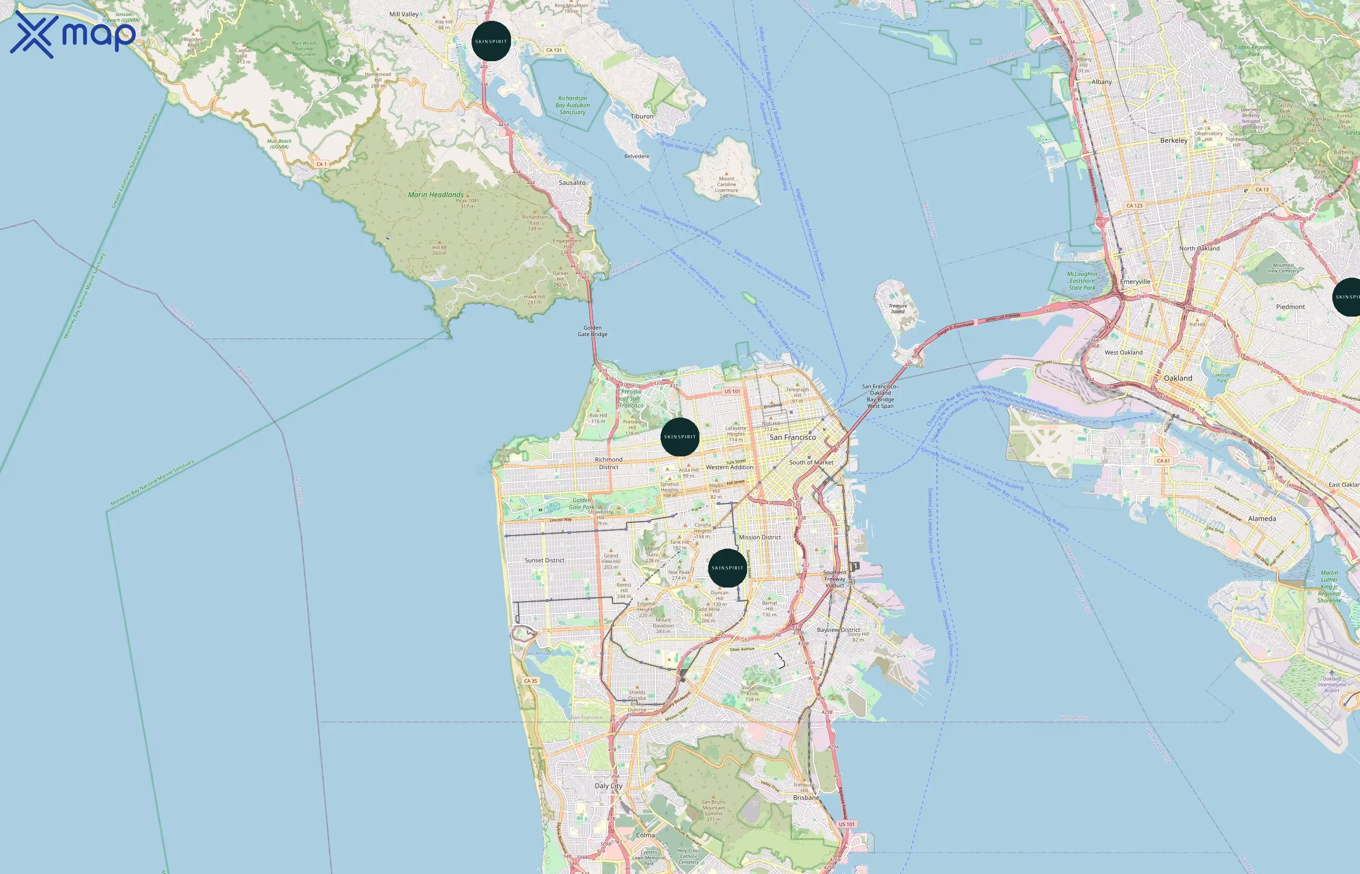 SkinSpirit area coverage