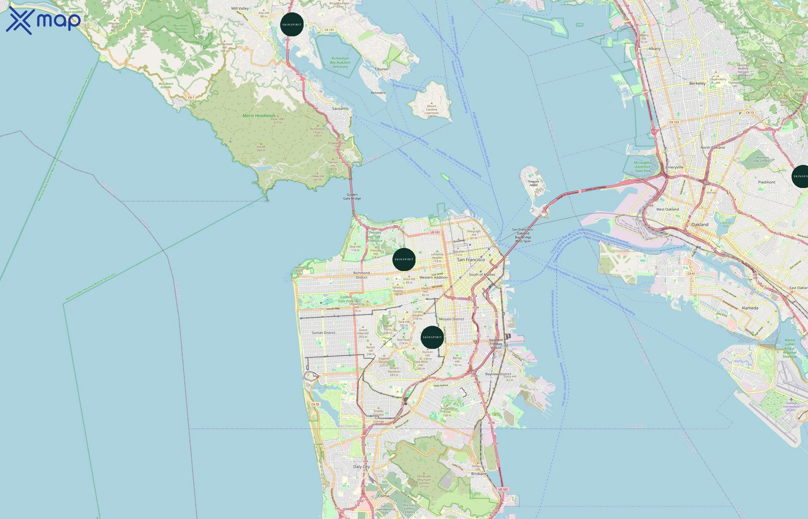SkinSpirit area coverage