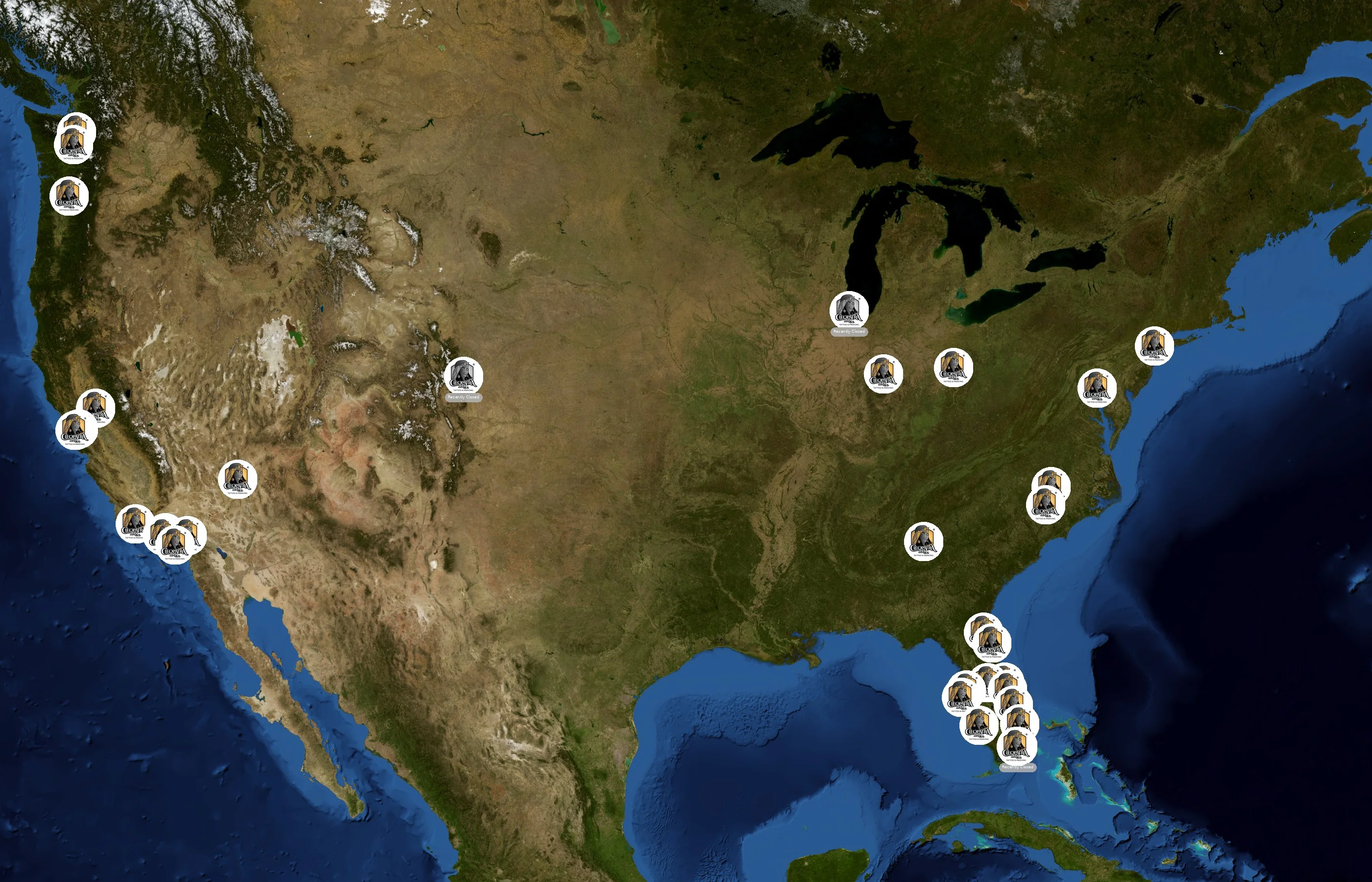 Cleopatra Ink state distribution