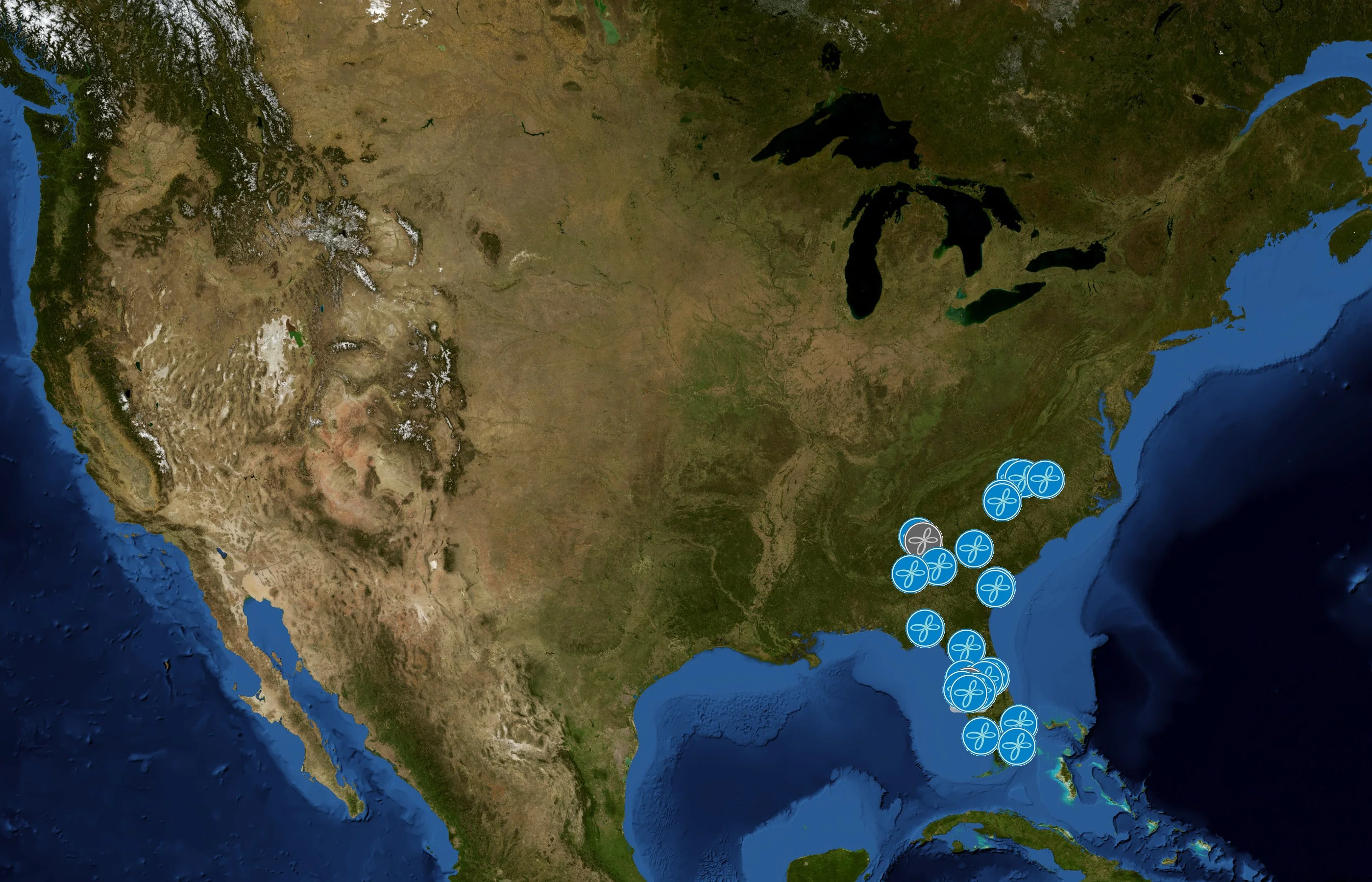 AgeRejuvenation state distribution