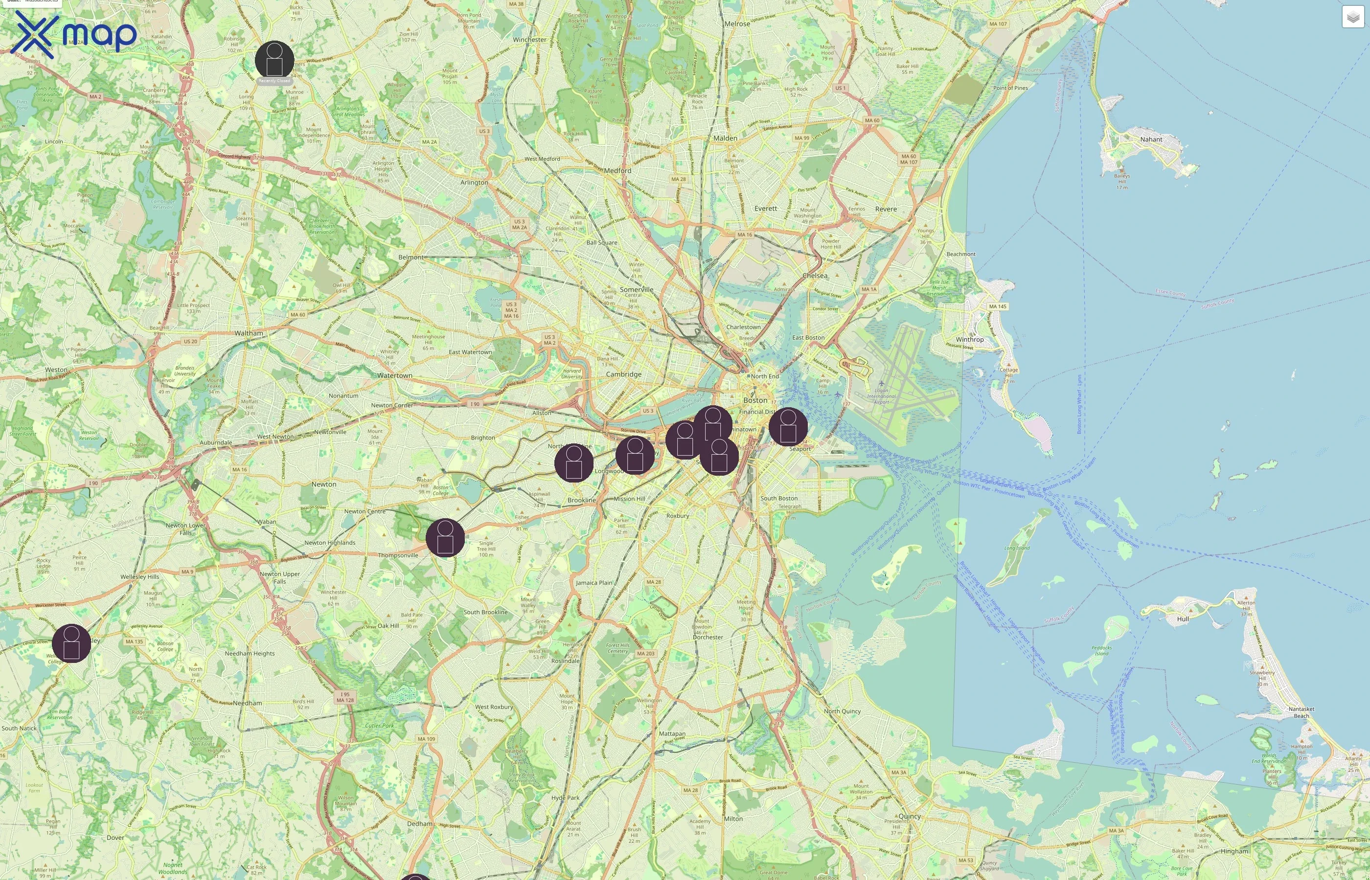 MiniLuxe traffic data
