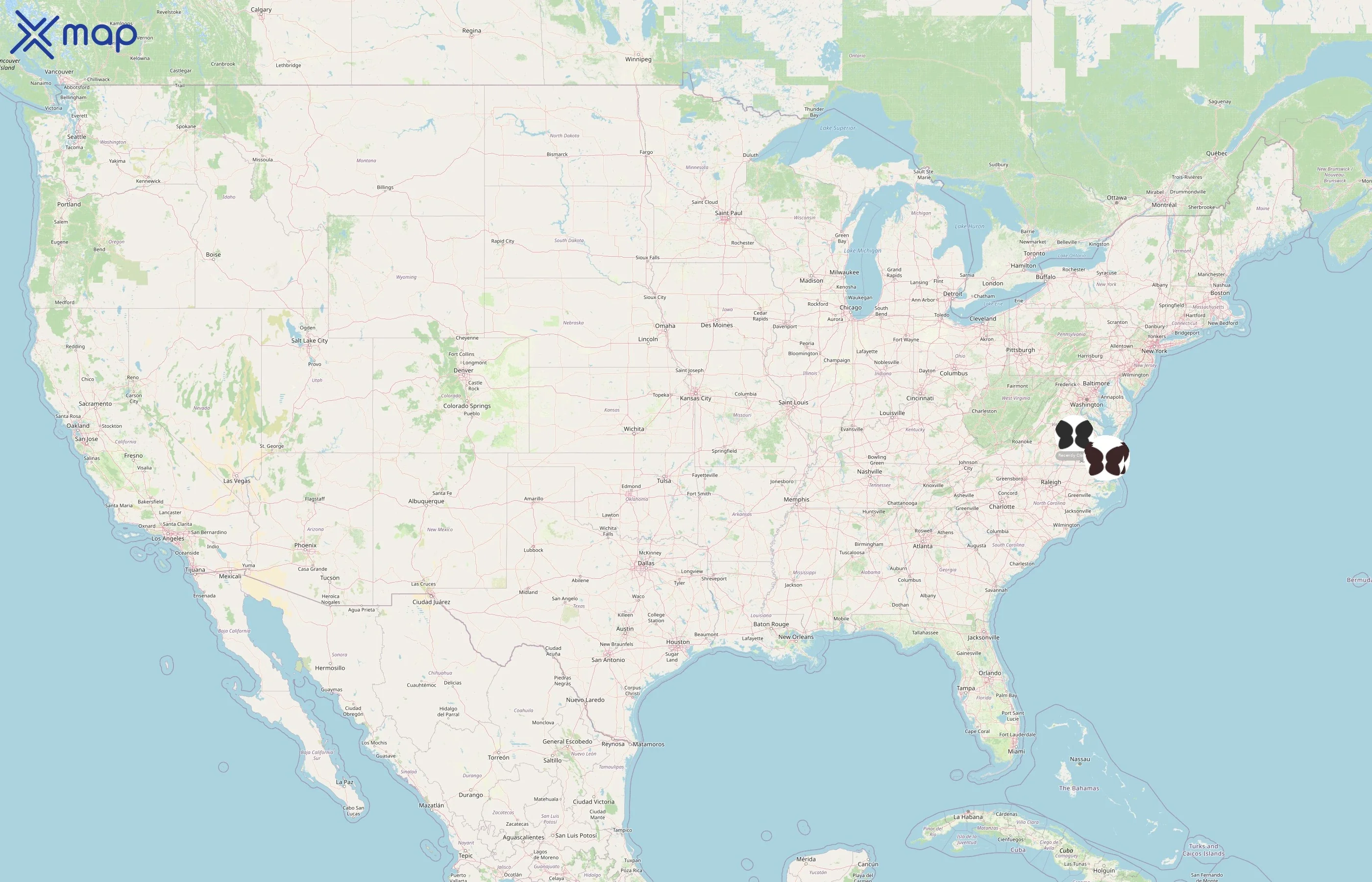 Vogue Lashes & Spa business status