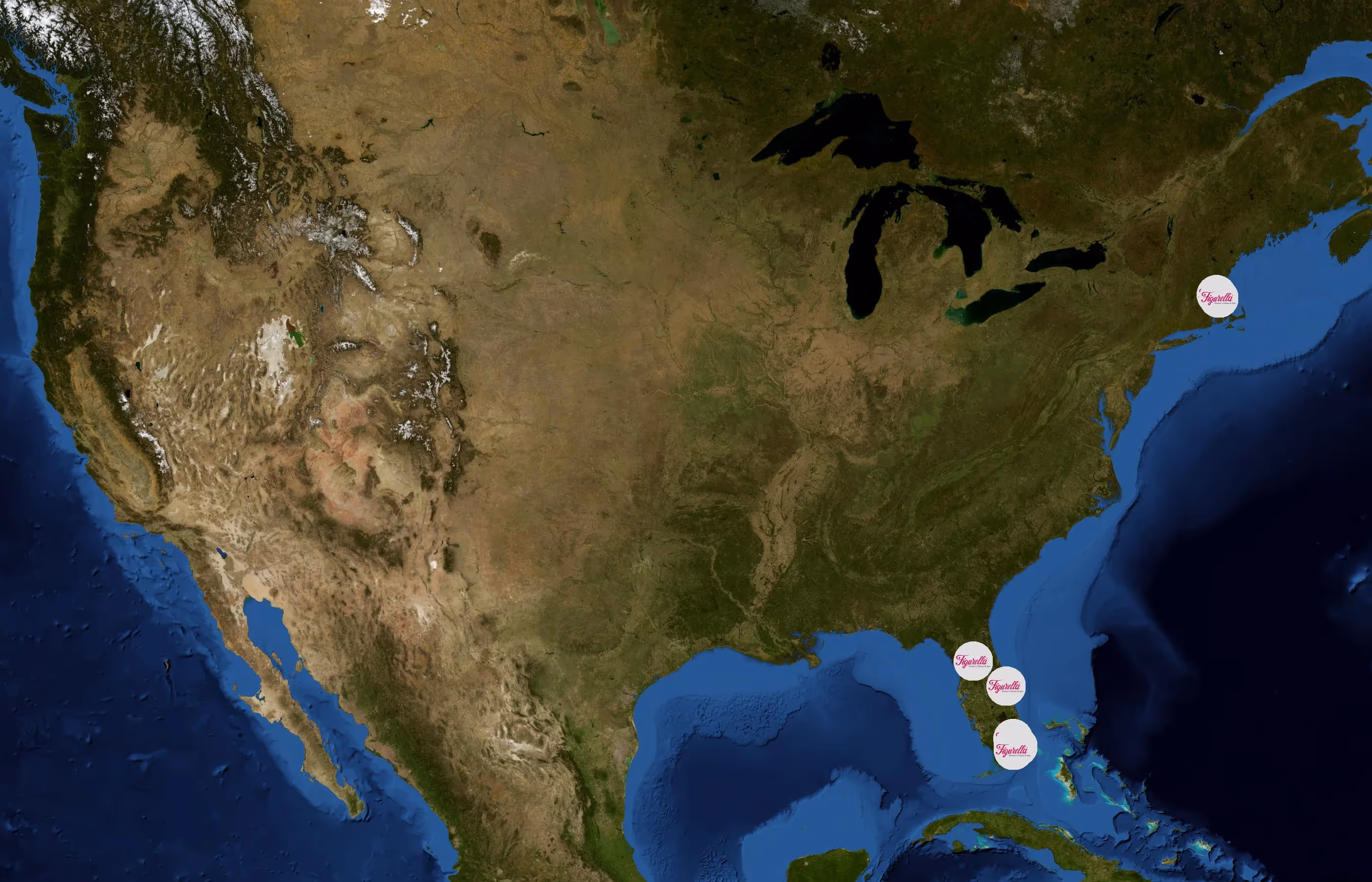Figurella state distribution