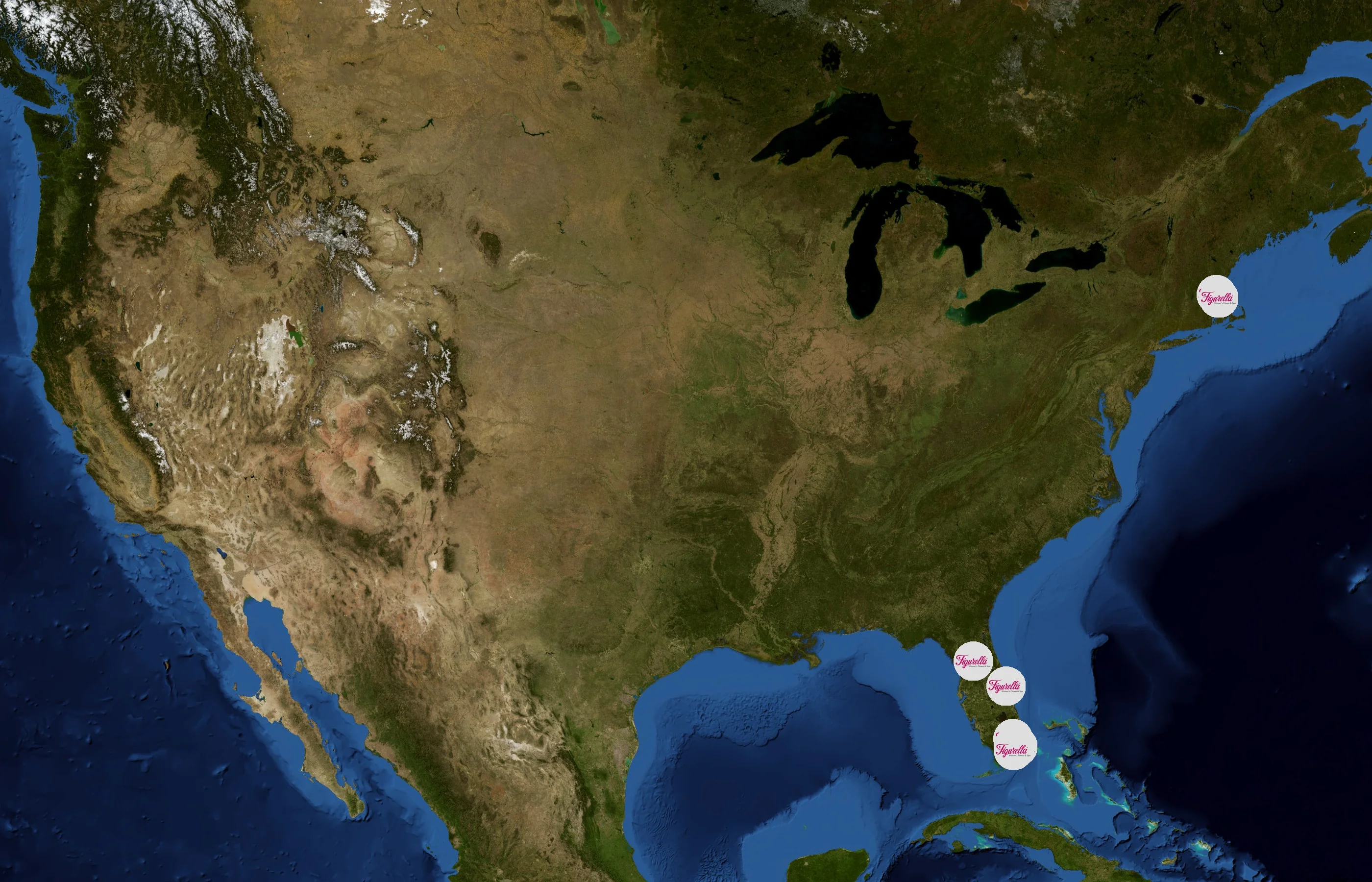 Figurella state distribution
