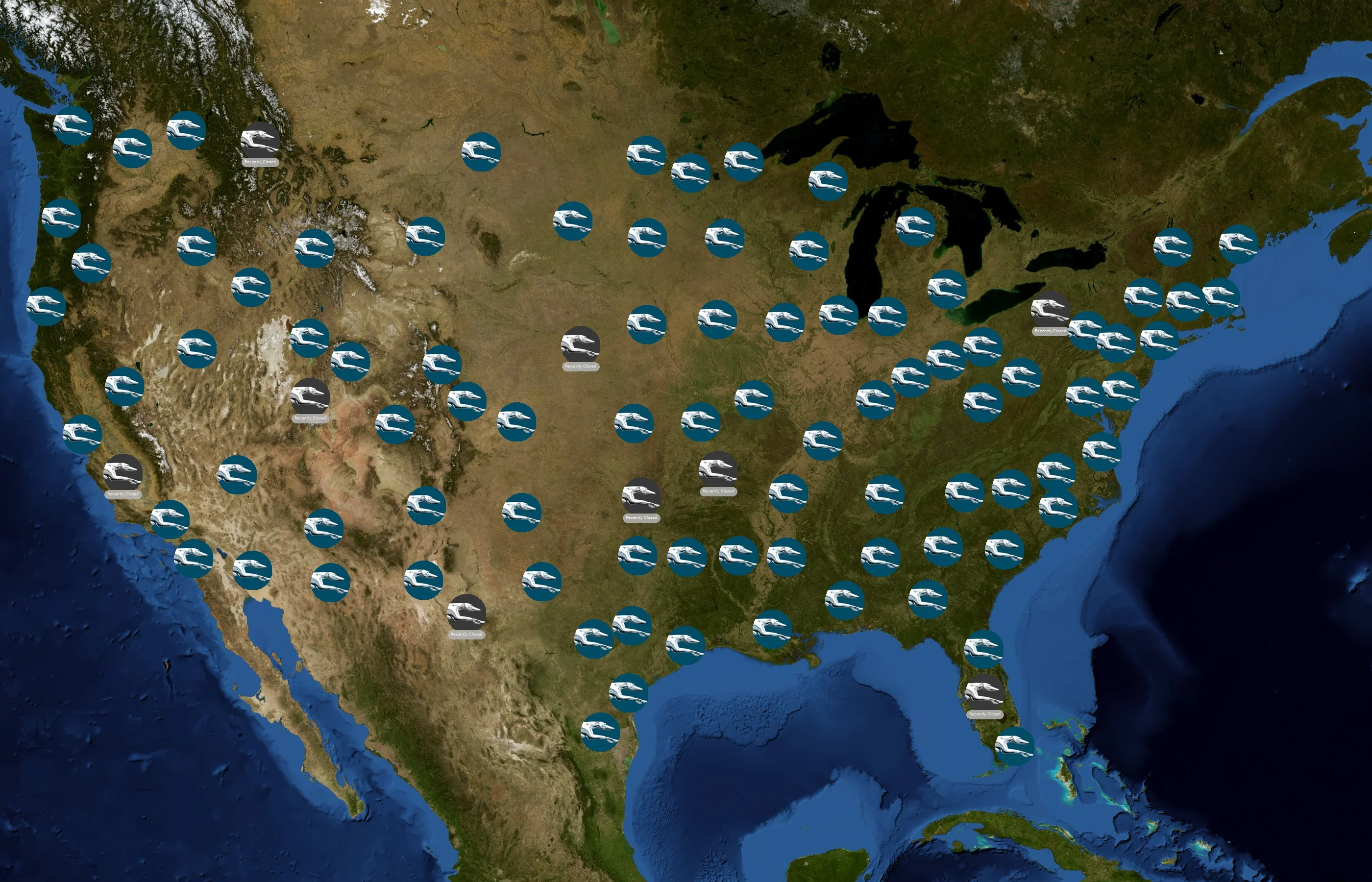 Greyhound state distribution