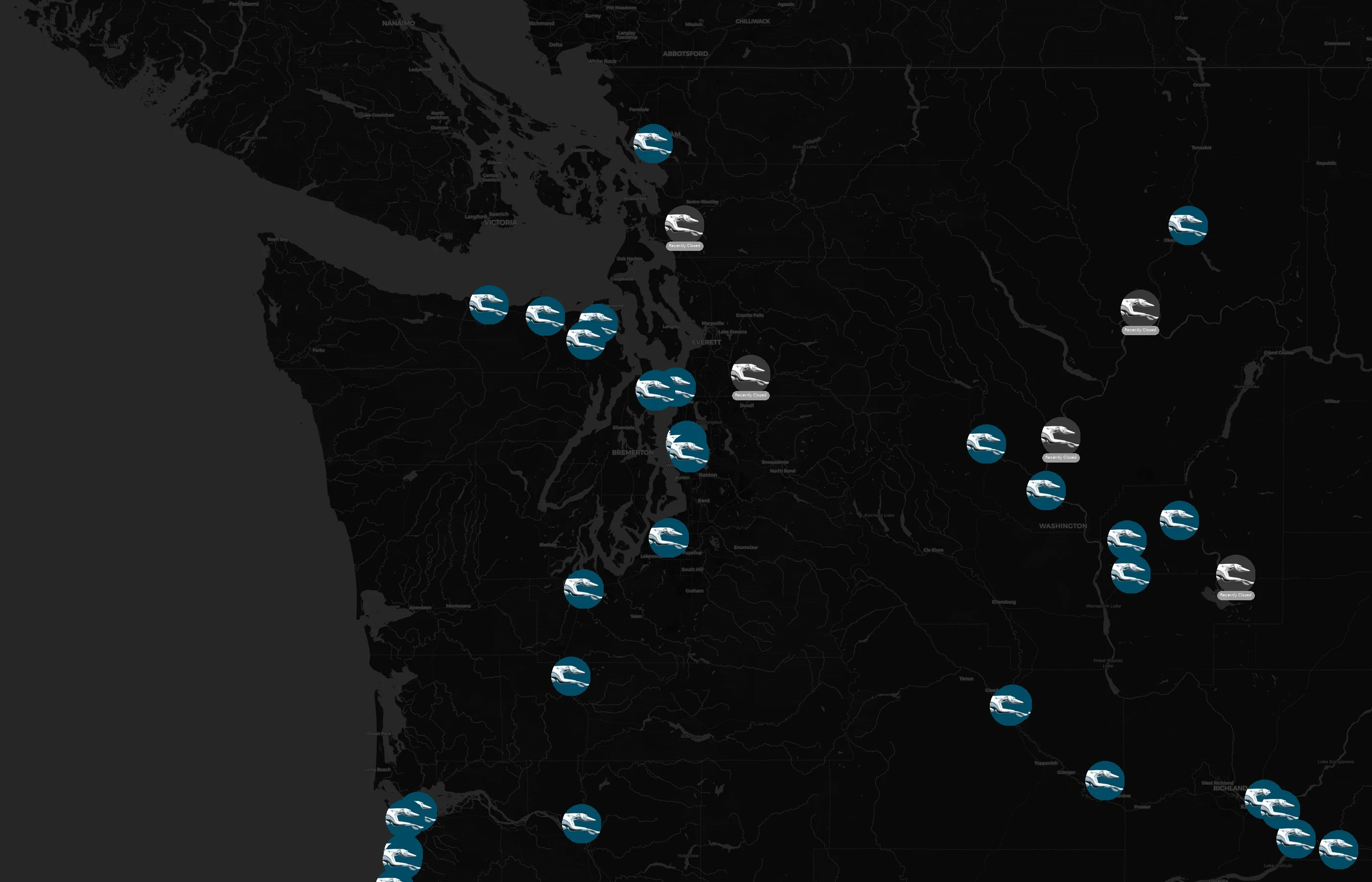 Greyhound city distribution