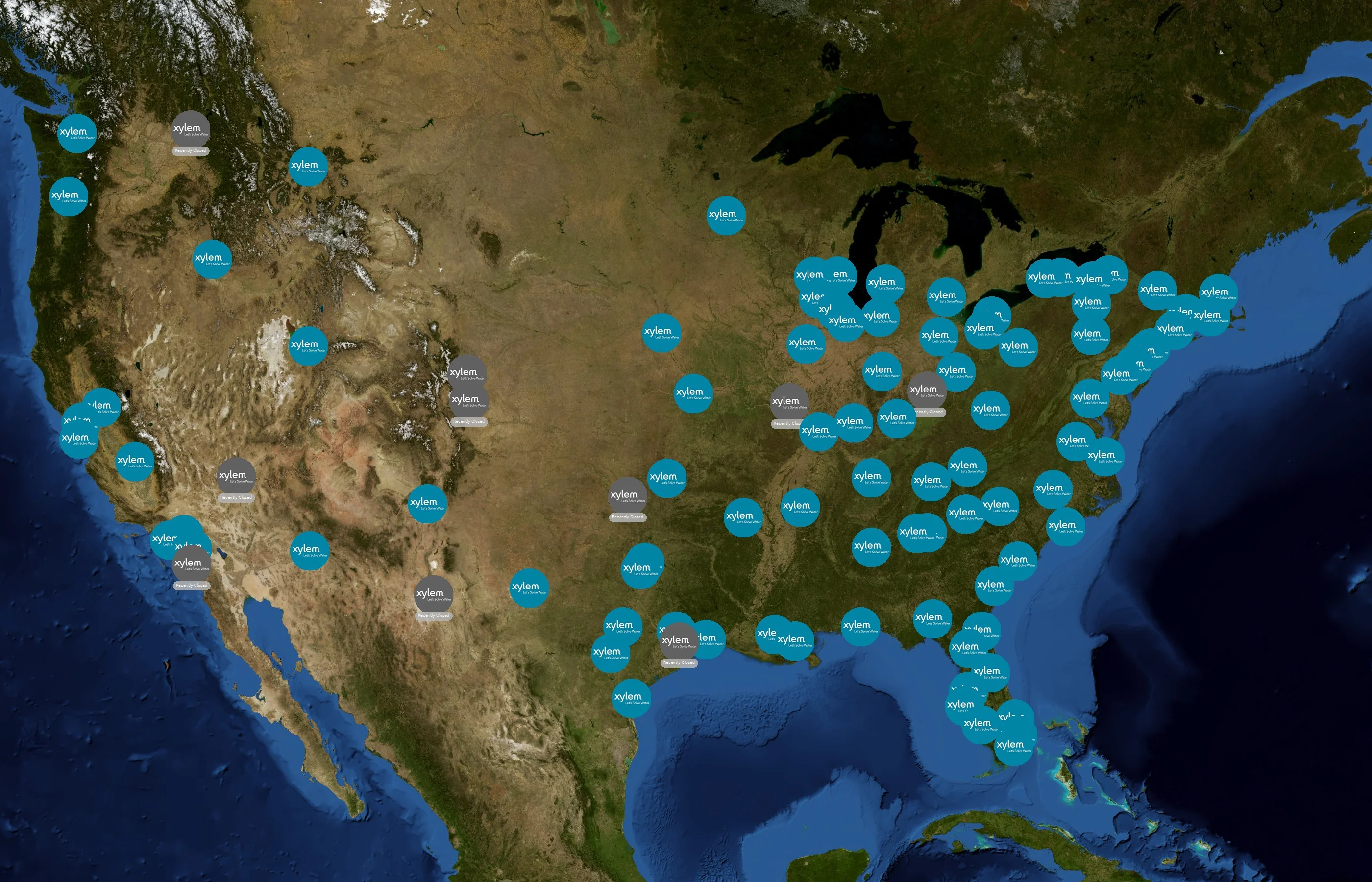 Xylem state distribution
