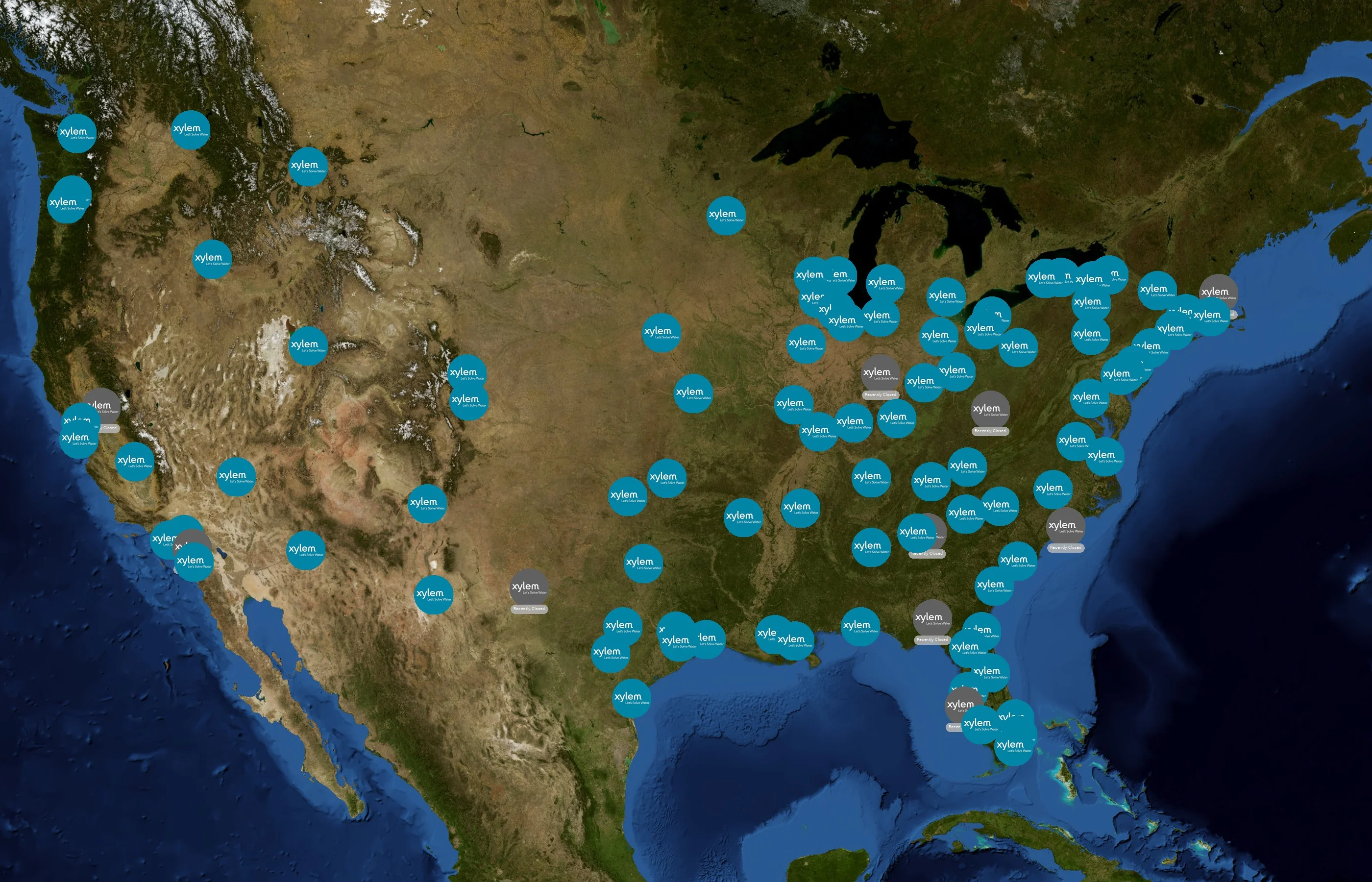 Xylem state distribution
