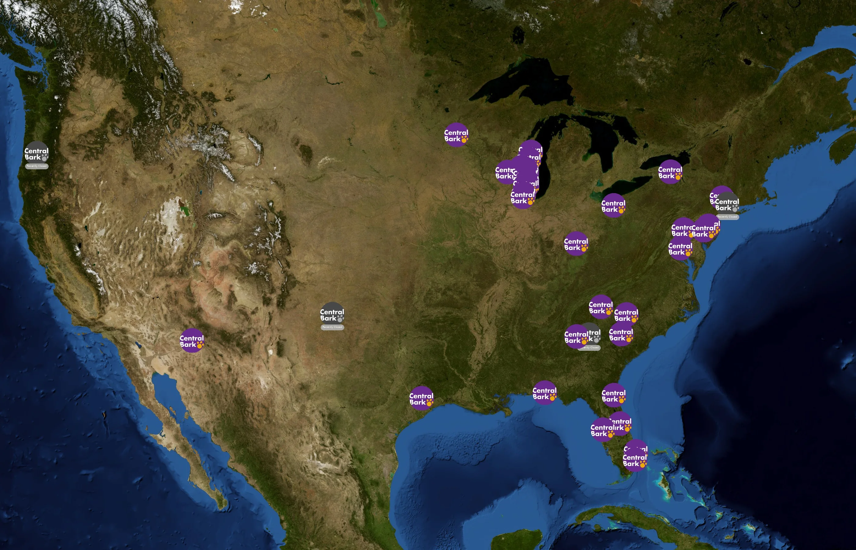 Central Bark state distribution