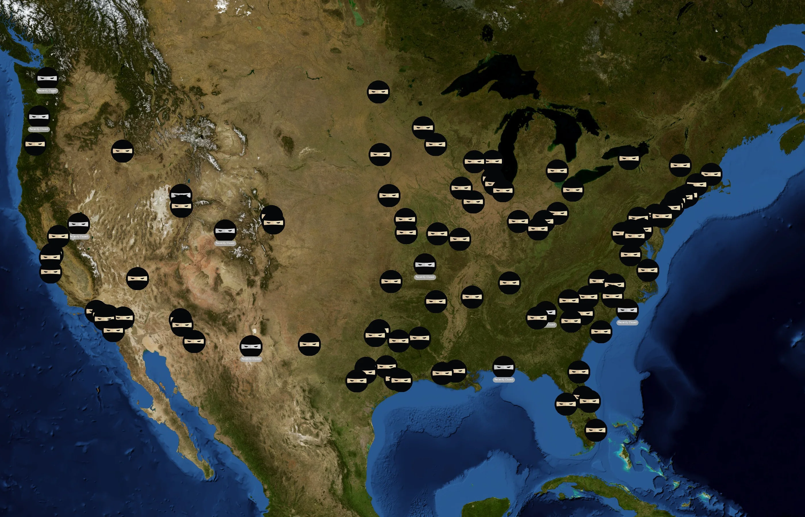 Code Ninjas state distribution