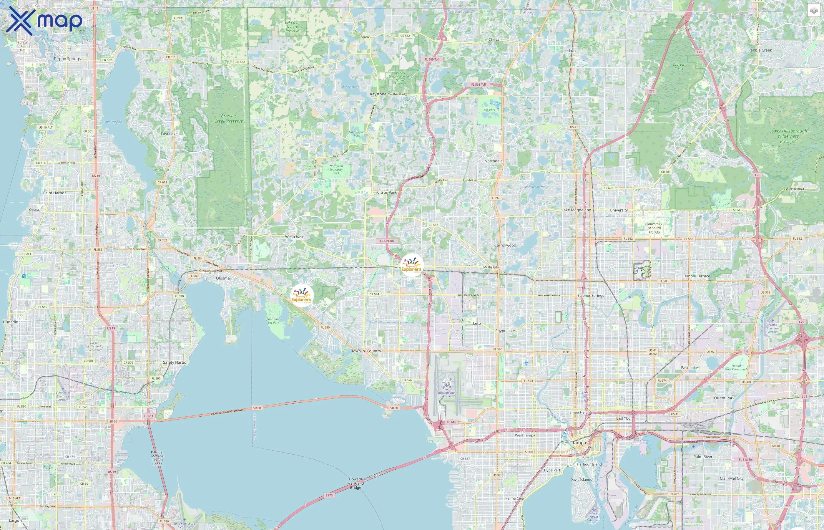 Amazing Explorers Academy traffic data