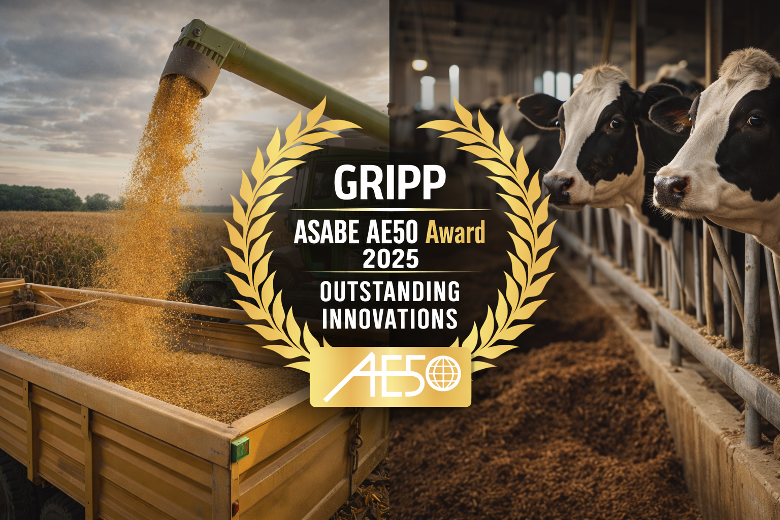 Gripp Rendezvoo AE50 2026 Award Winner