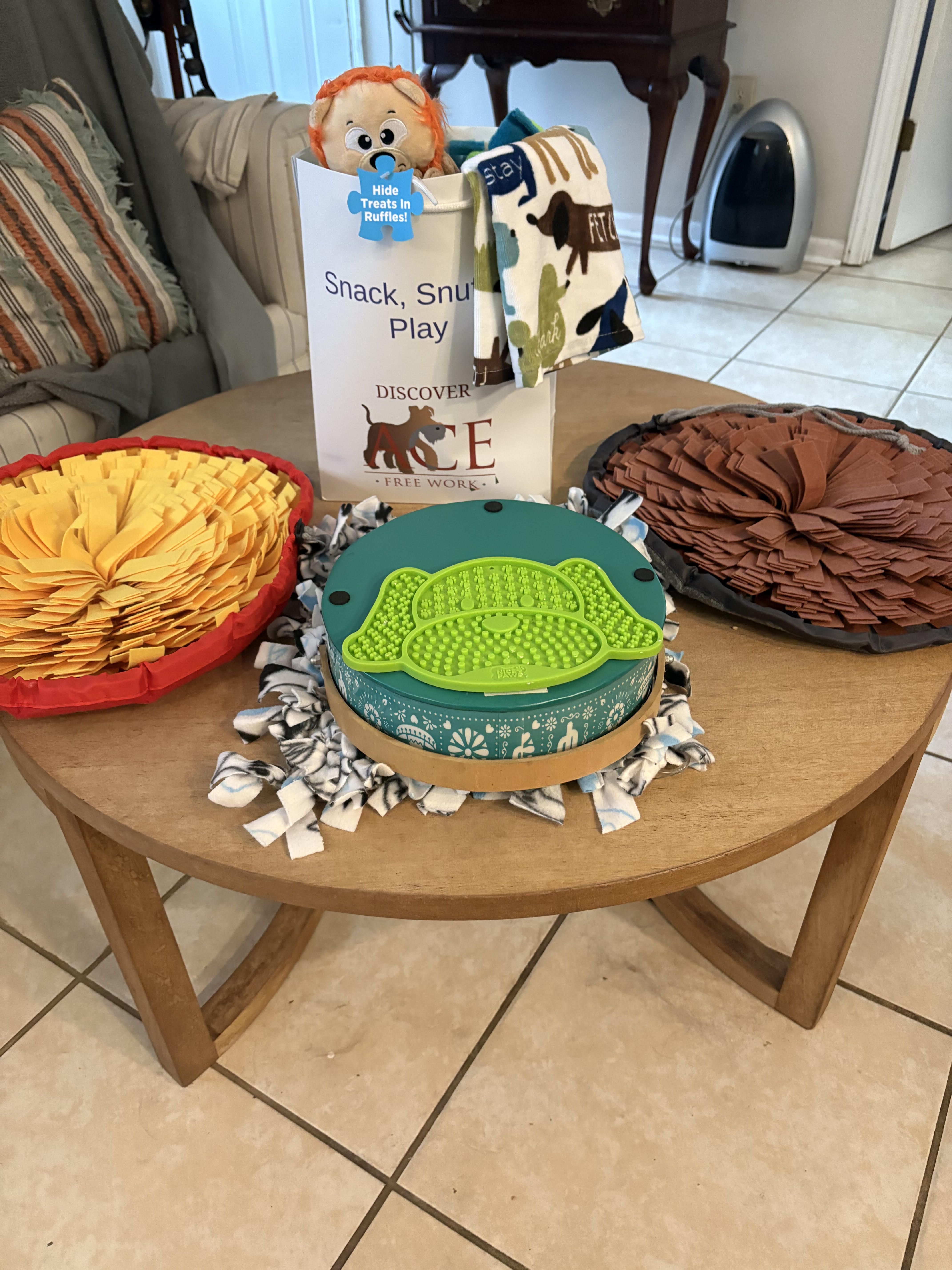 ACE Free Work Isn’t Just for Reactive Dogs. It’s for Every Dog.