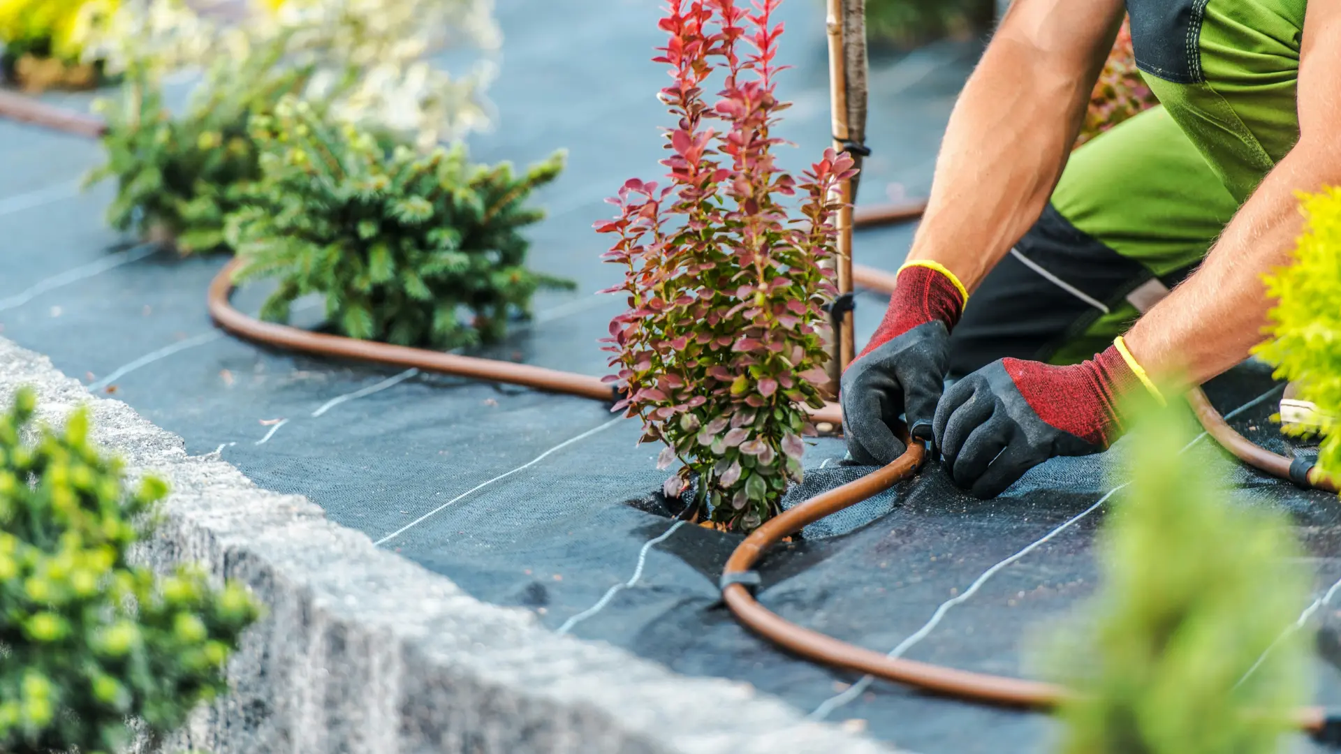 Landscaping: Where Should a Landscaping Business Advertise