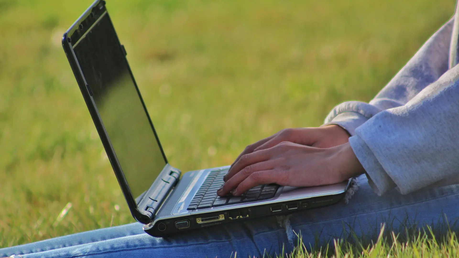 Lawn Care: What Should a Lawn Care Website Include