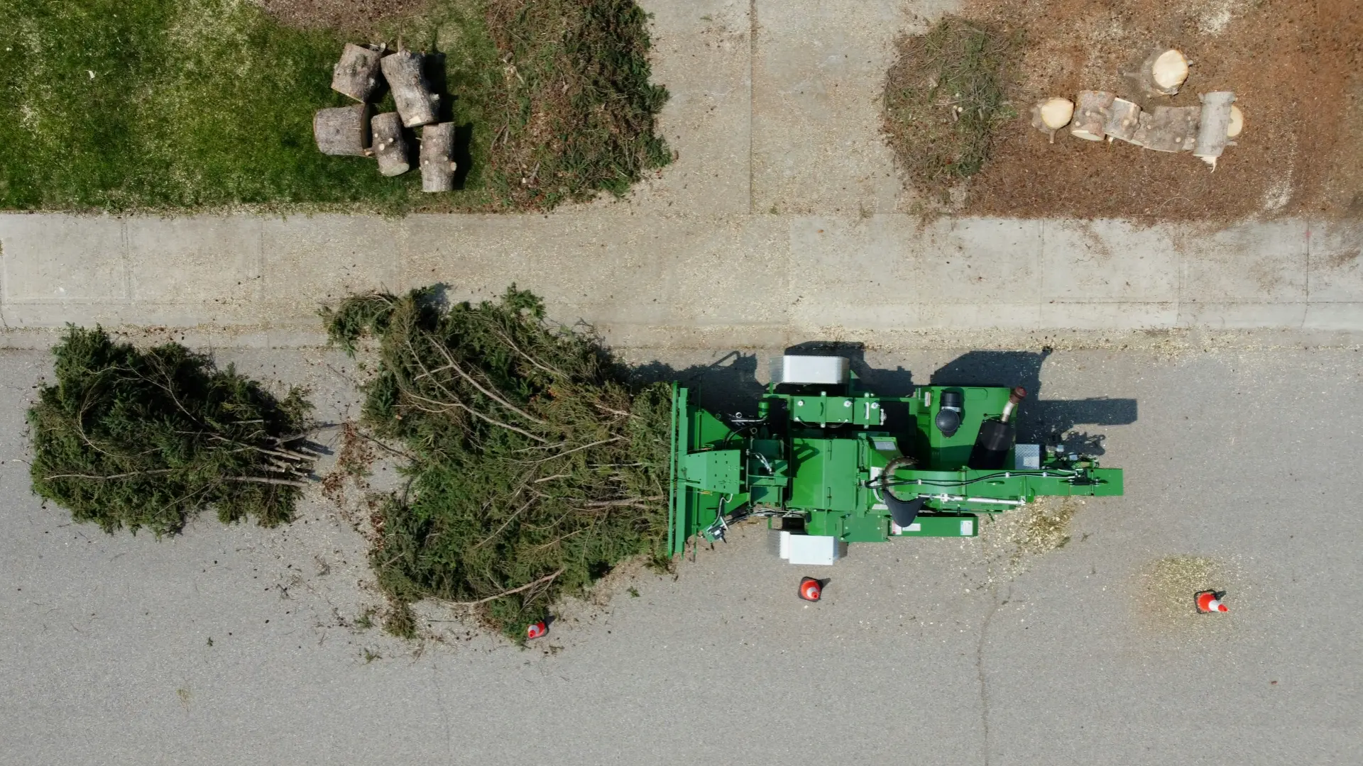 Tree Service: How Tree Services Win Storm Work Without Chasing It