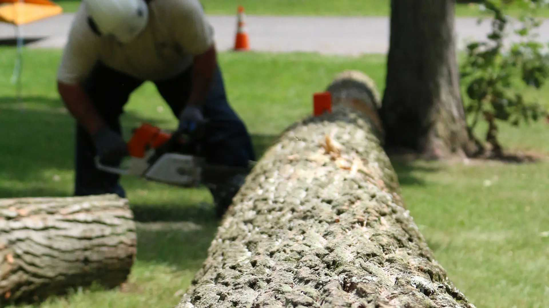Tree Service: Marketing for Tree Service Businesses
