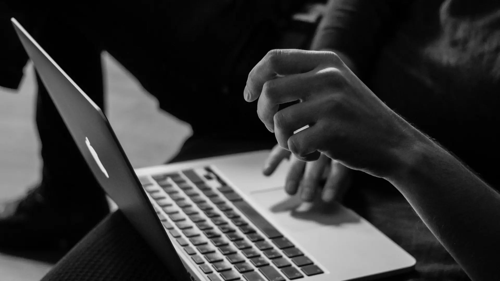Tree Service: What Should a Tree Service Website Include