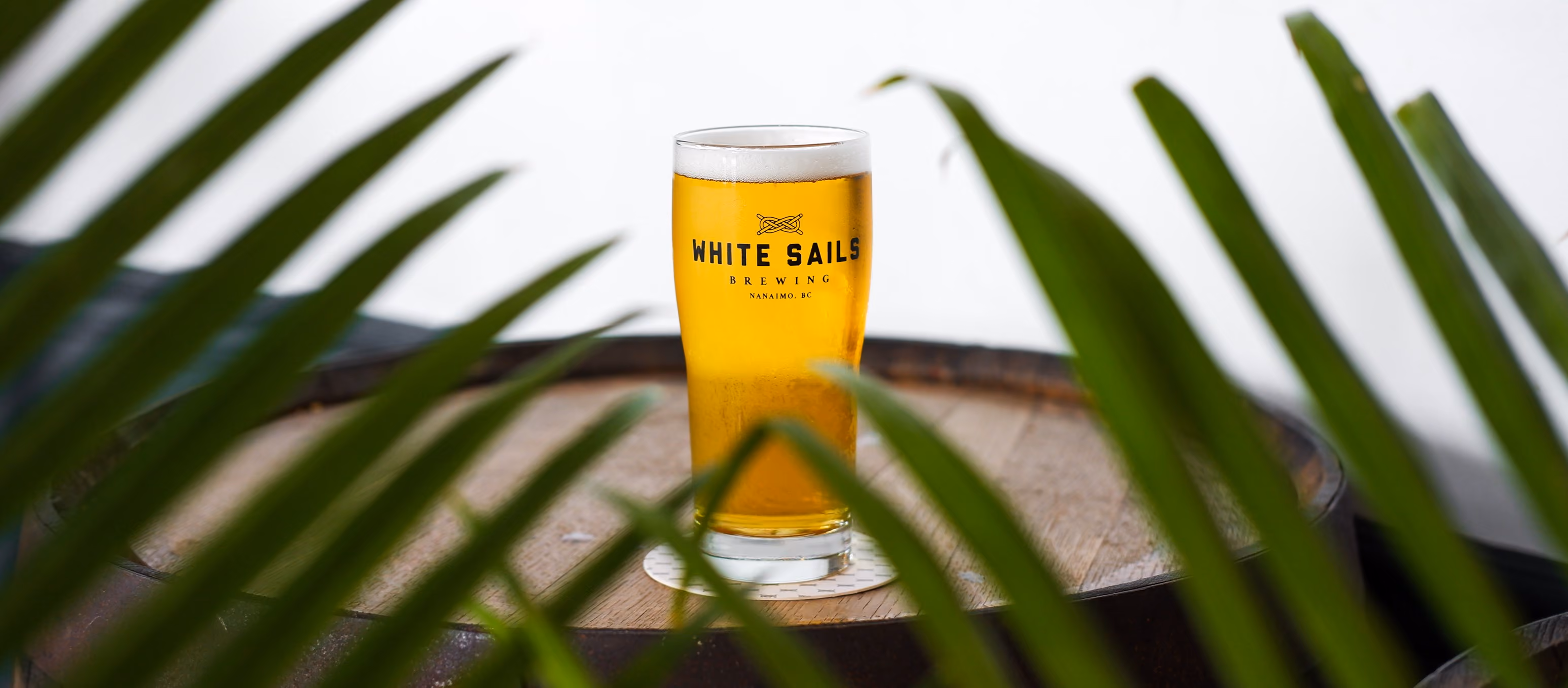 Beer Club with White Sails Brewing