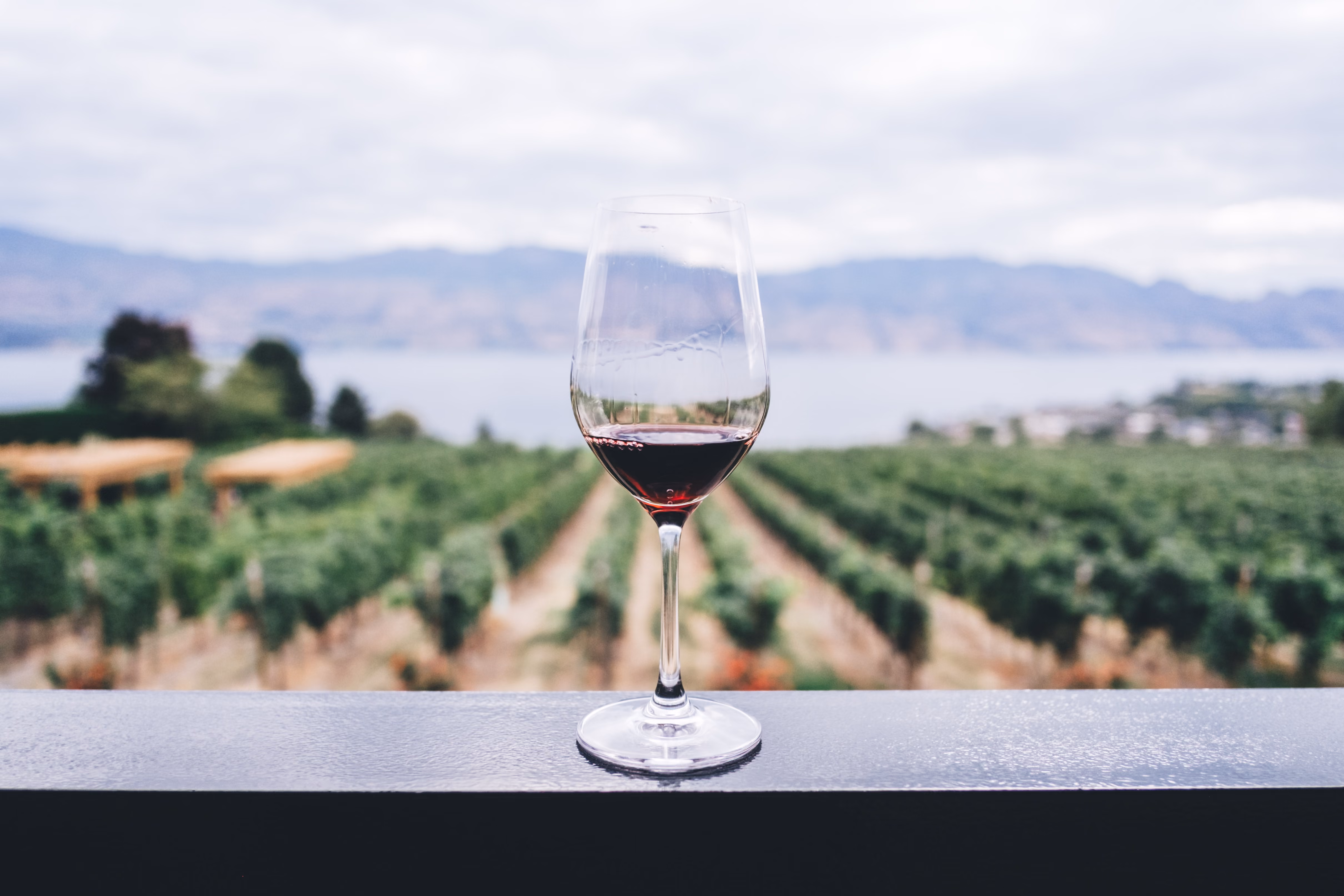 Blending Wines with the Winemaker