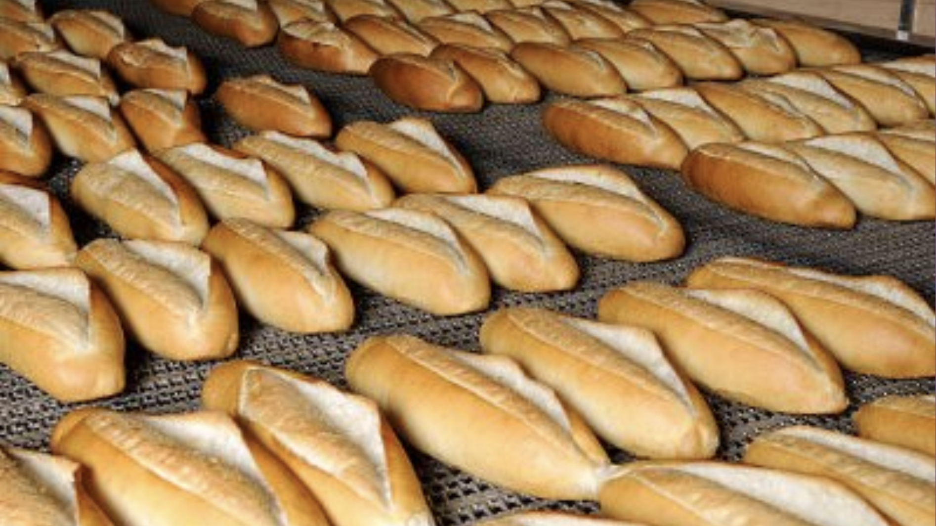 Countless loaves of freshly baked bread.