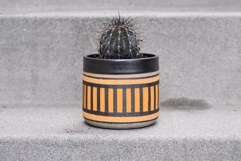 Black and orange striped planter, with a cactus planted inside, sitting on porch steps.