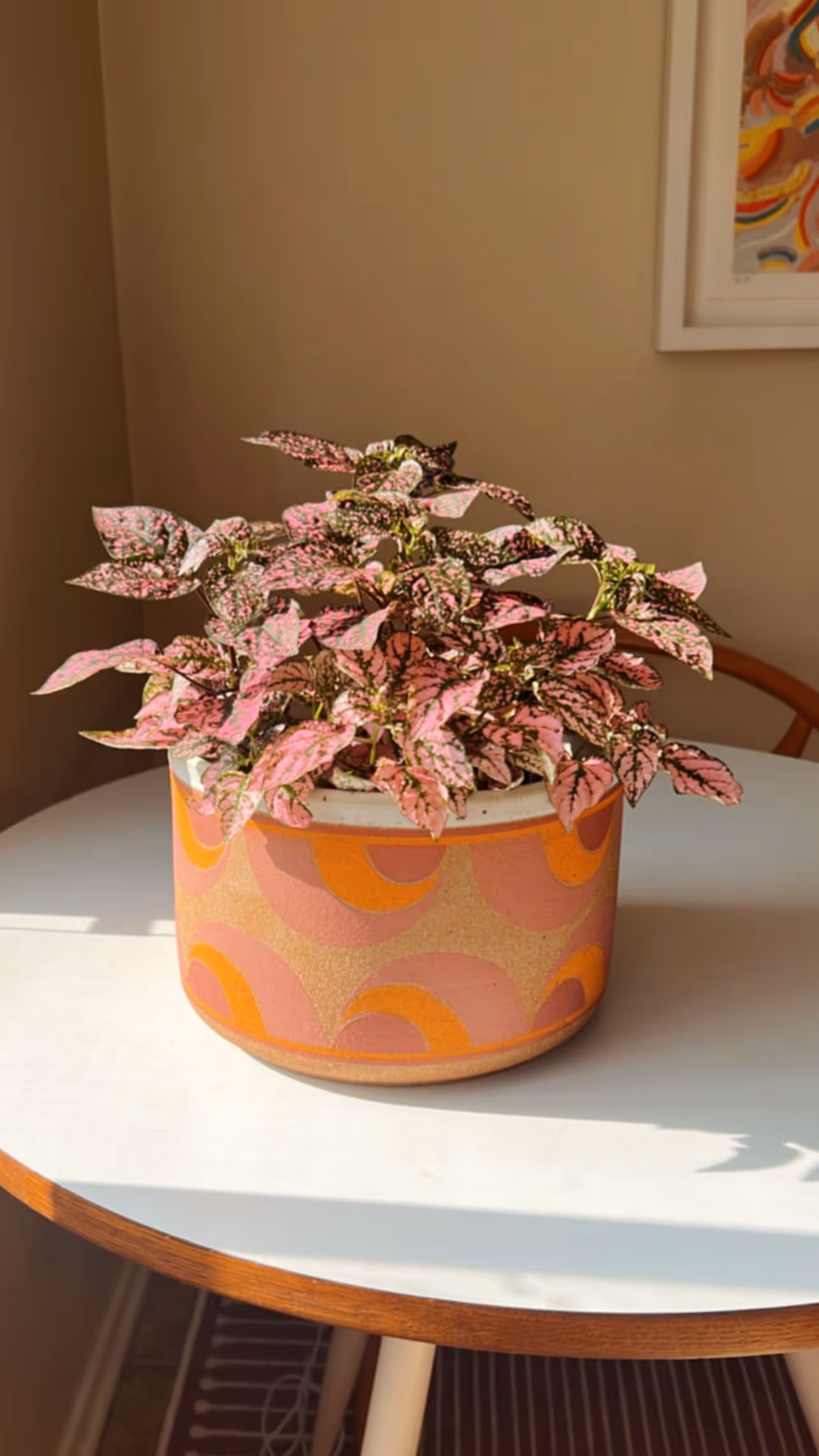 A orange and pink planter sitting on a dining table.