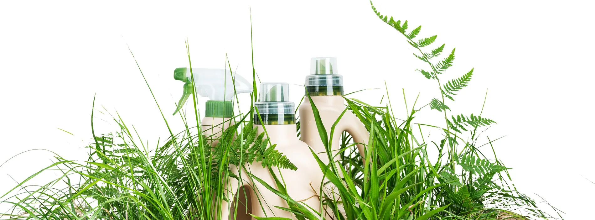 Eco-friendly cleaning products with green caps surrounded by vibrant green grass and ferns, against a white background, representing Clean Terra's commitment to environmental responsibility