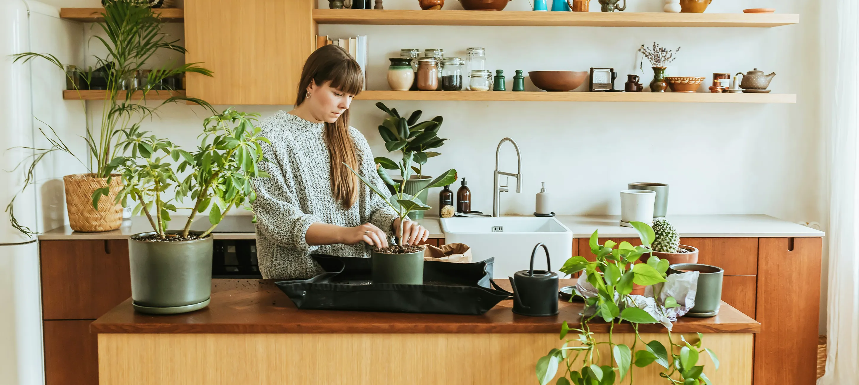Duurzame keuken met planten en open planken