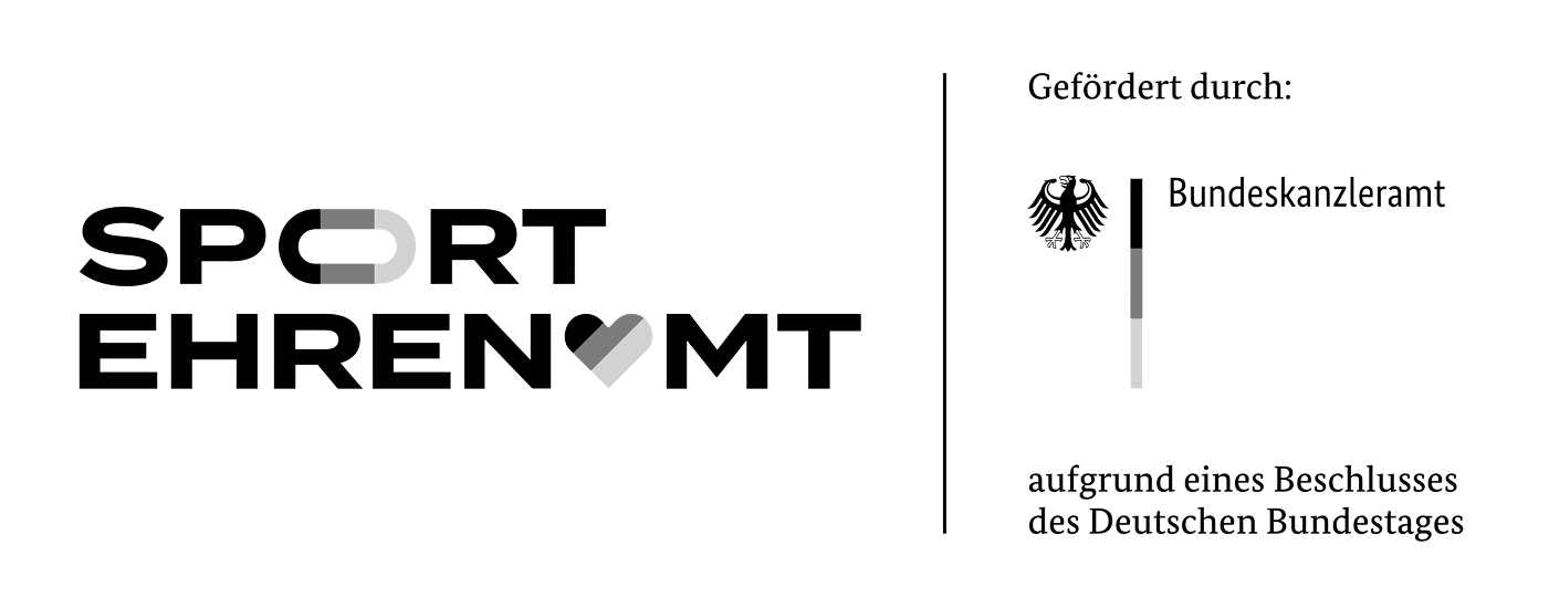 Logo Stiftung Fußball & Kultur EURO 2024