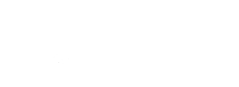 ANA (Administration de la navigation aérienne) logo