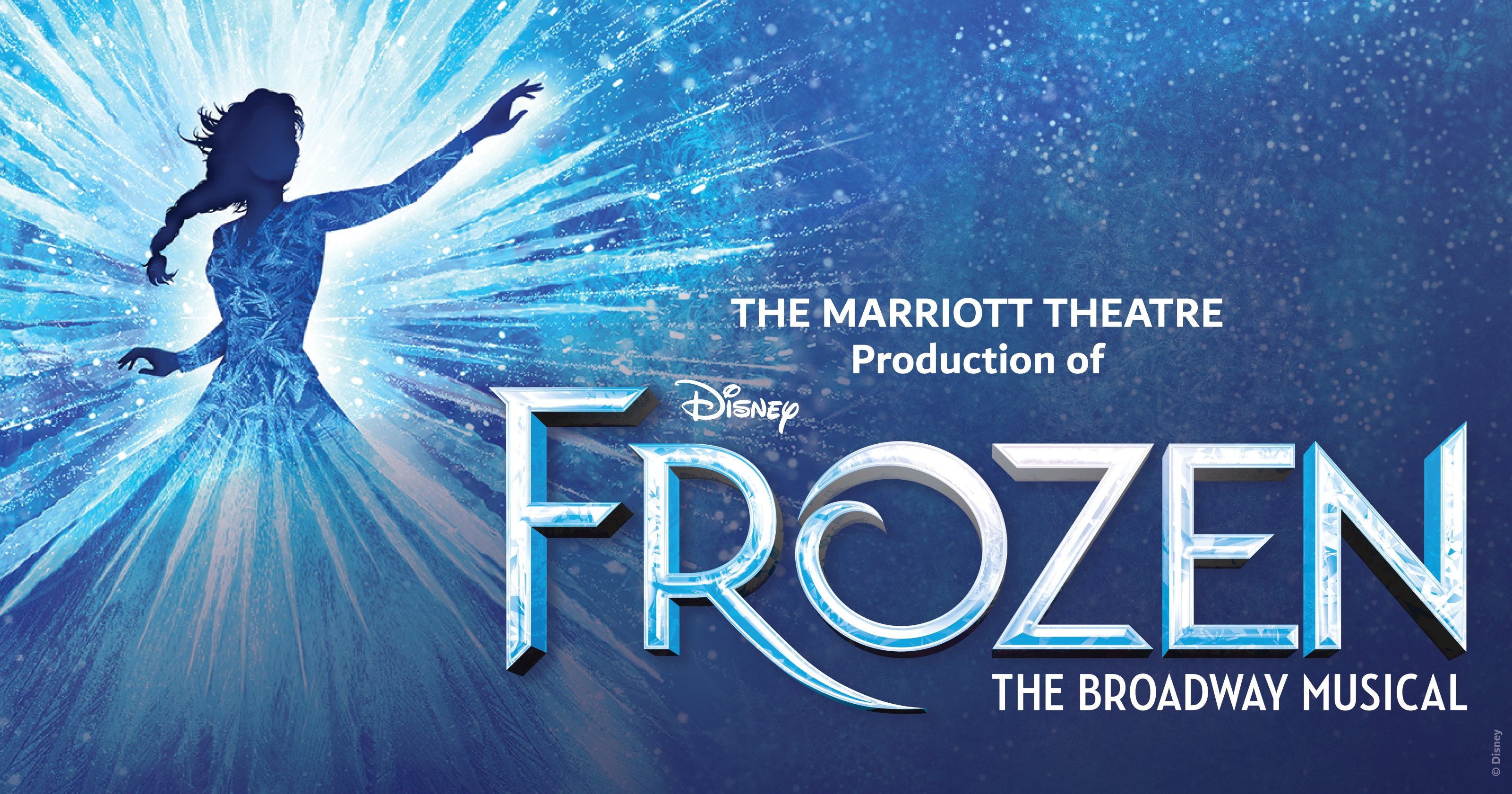 Disney's Frozen The Broadway Musical 
