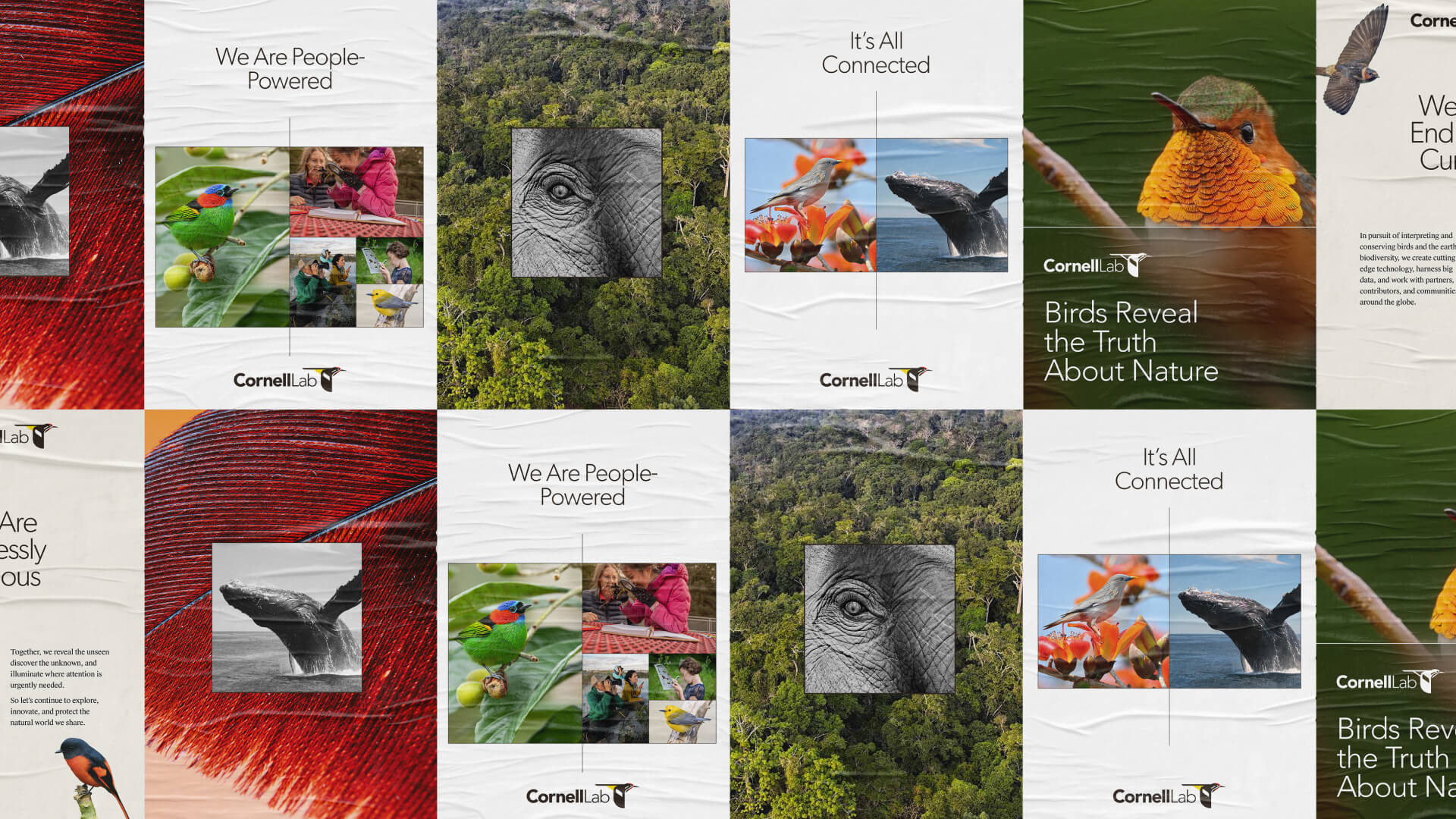 A collage of posters from Cornell Lab with various wildlife themes. Each poster features imagery of animals, such as birds, whales, and elephants, paired with phrases like "We Are People-Powered" and "It's All Connected." The posters emphasize the interconnectedness of nature and human impact.