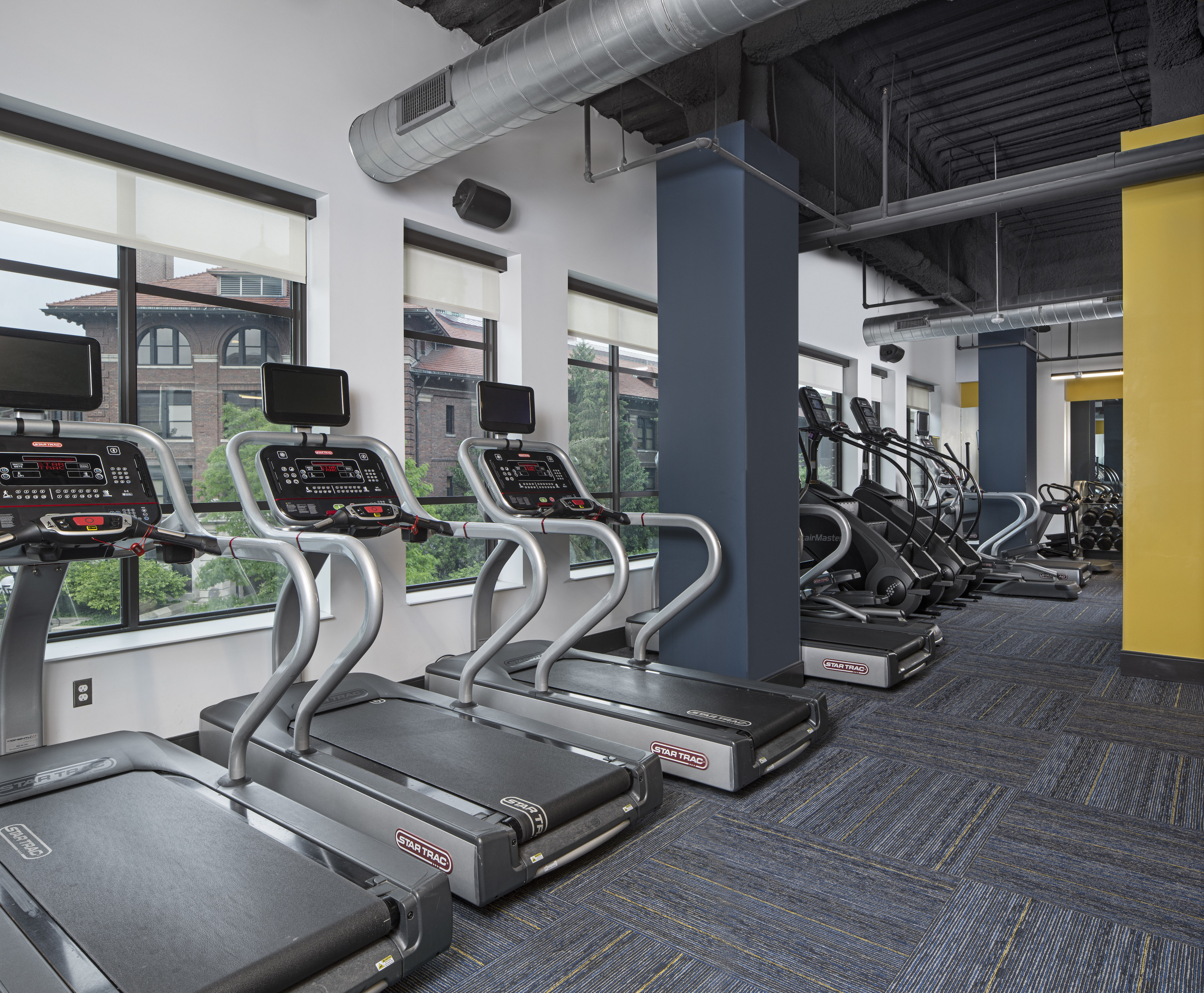 Gym 3