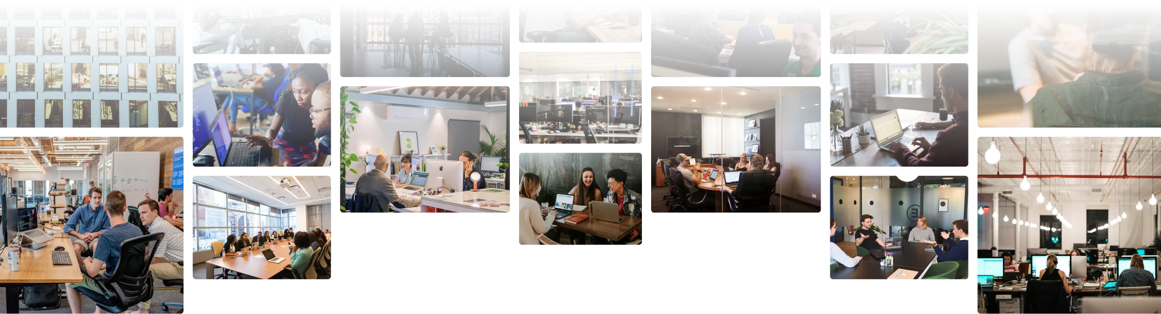 Calamar clients portfolio