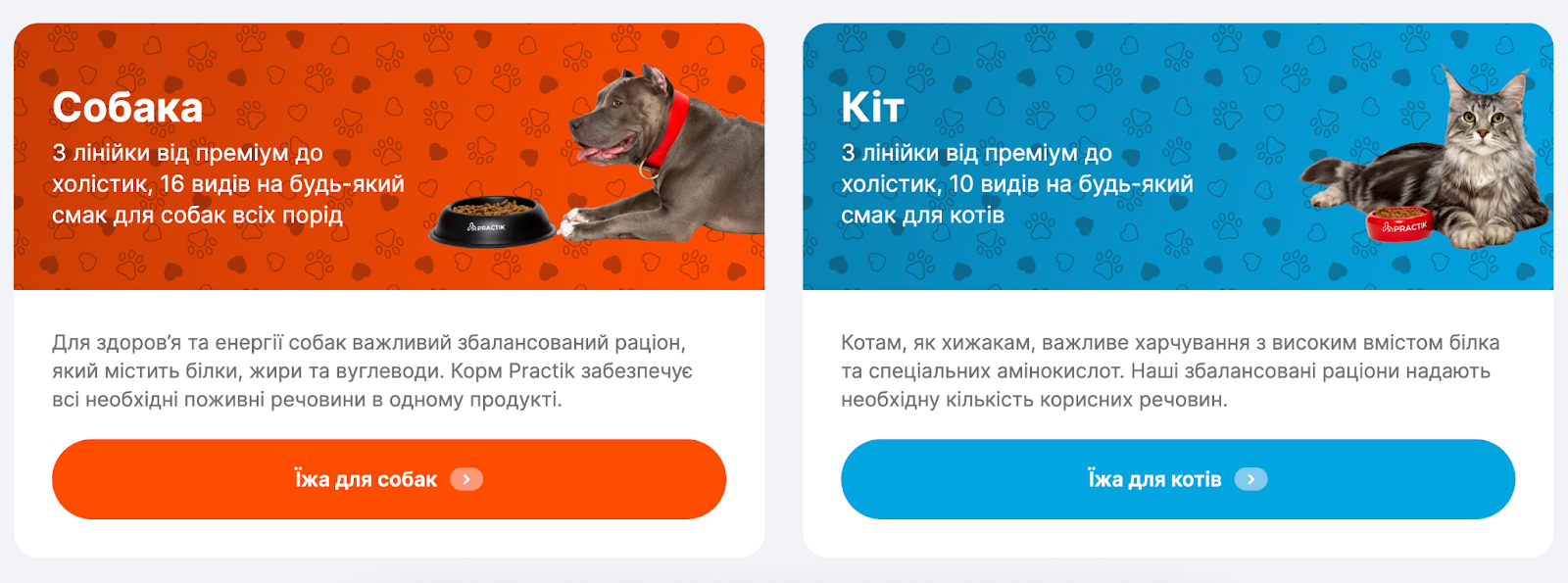 Напрями продукції компанії Practik