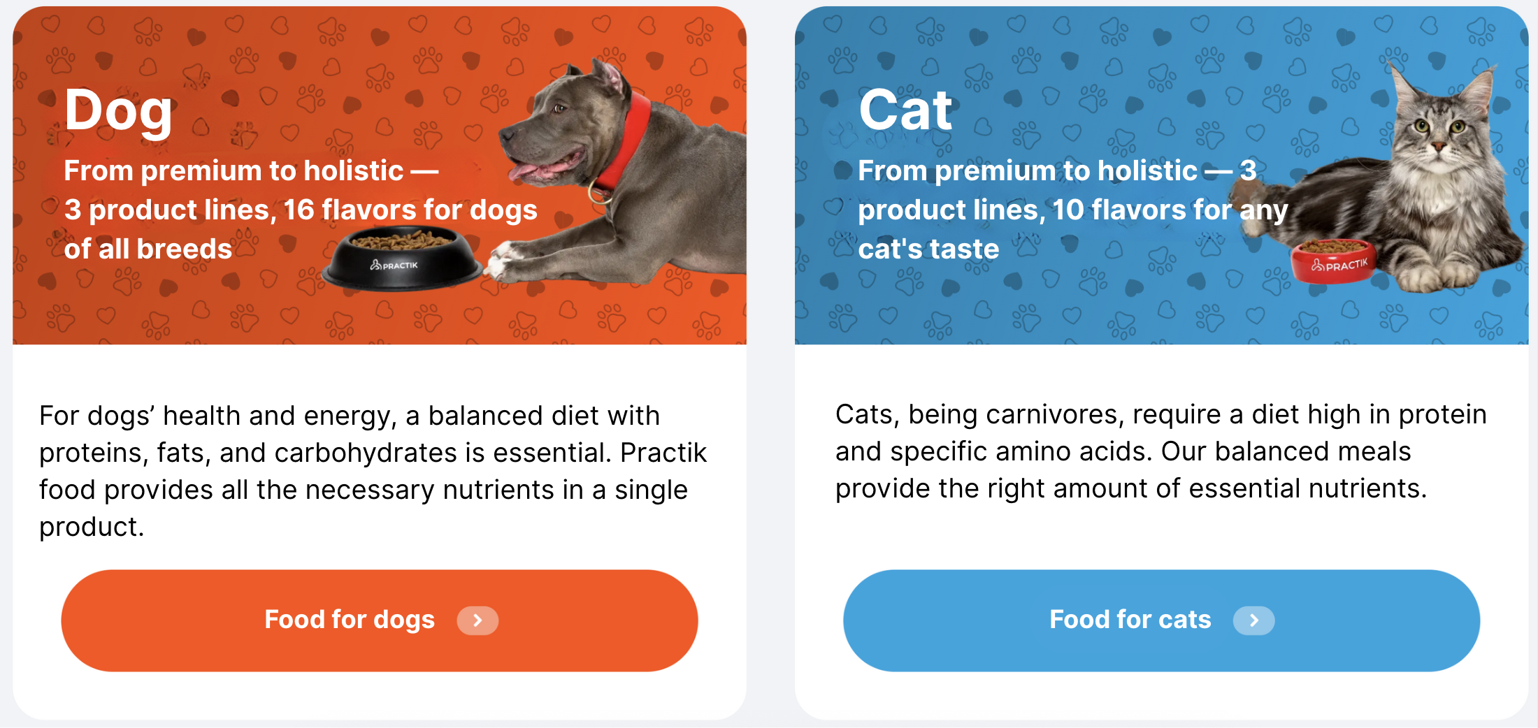 Product Lines at Practik