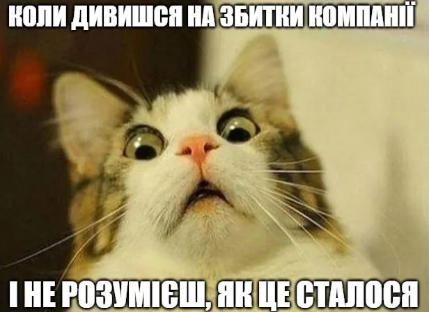 Коли дивишся на збитки компанії і не розумієш, як це сталося