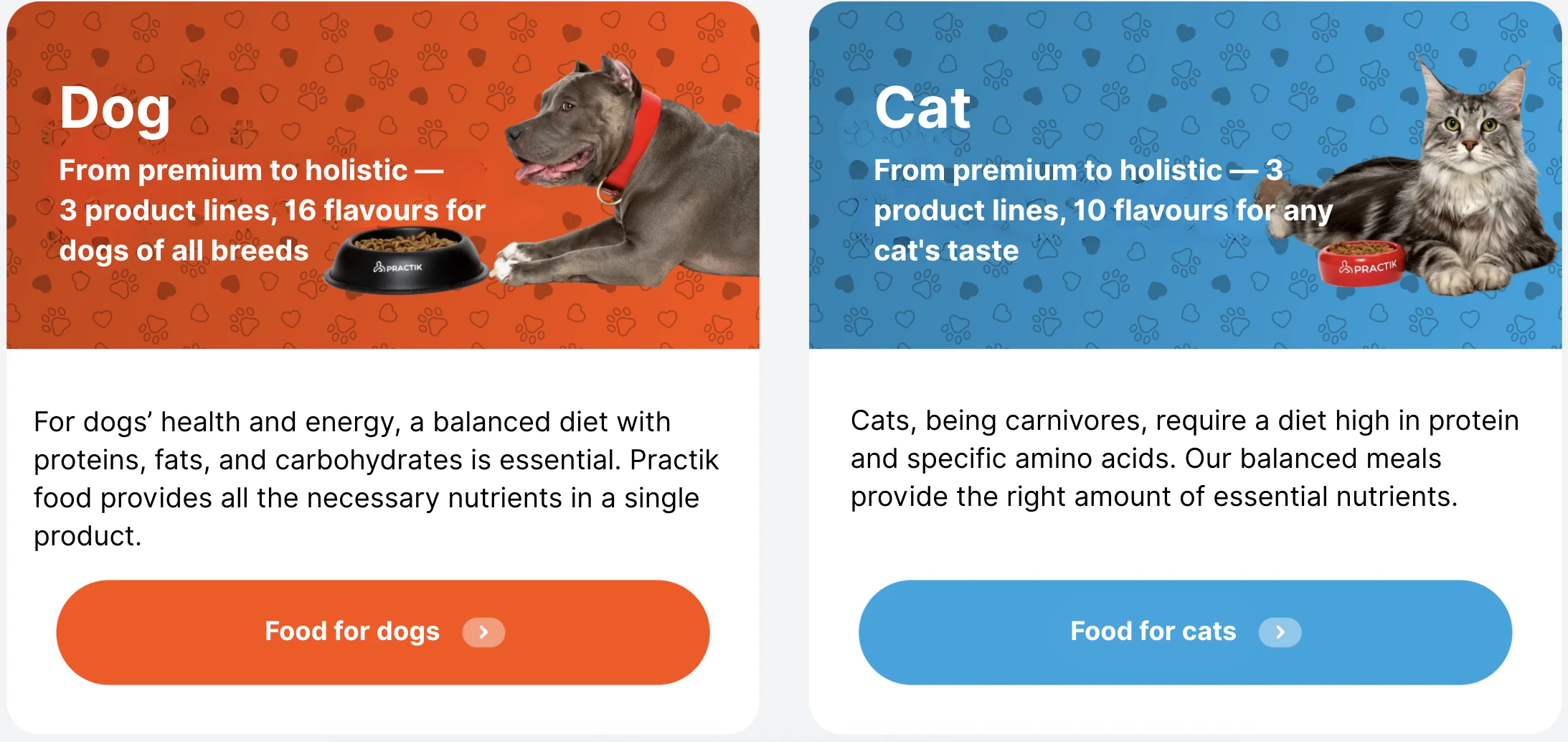 Product Lines at Practik