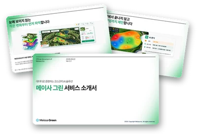 메이사 그린 서비스 소개서