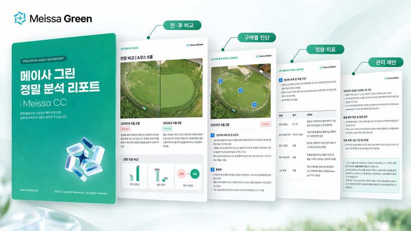 메이사 그린 정밀 분석 리포트 표지