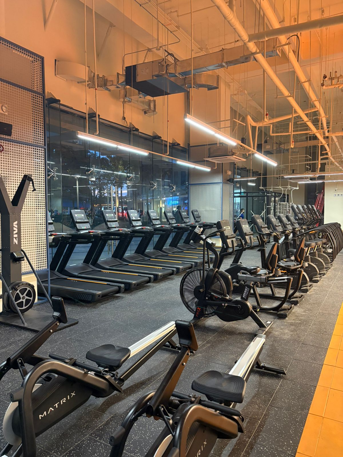 Why We Partnered with BeFit: Democratizing Fitness in the Philippines