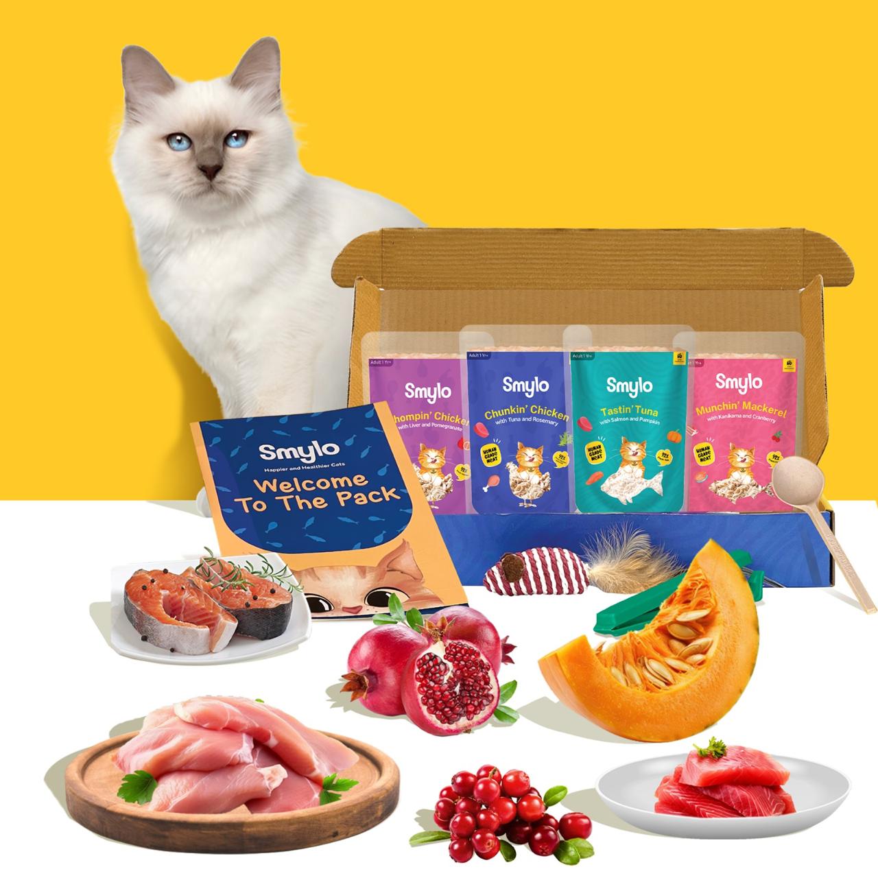 Why We Invested in Smylo: Cat Parenting in India Has Evolved. The Cat Food Aisle Has Not.